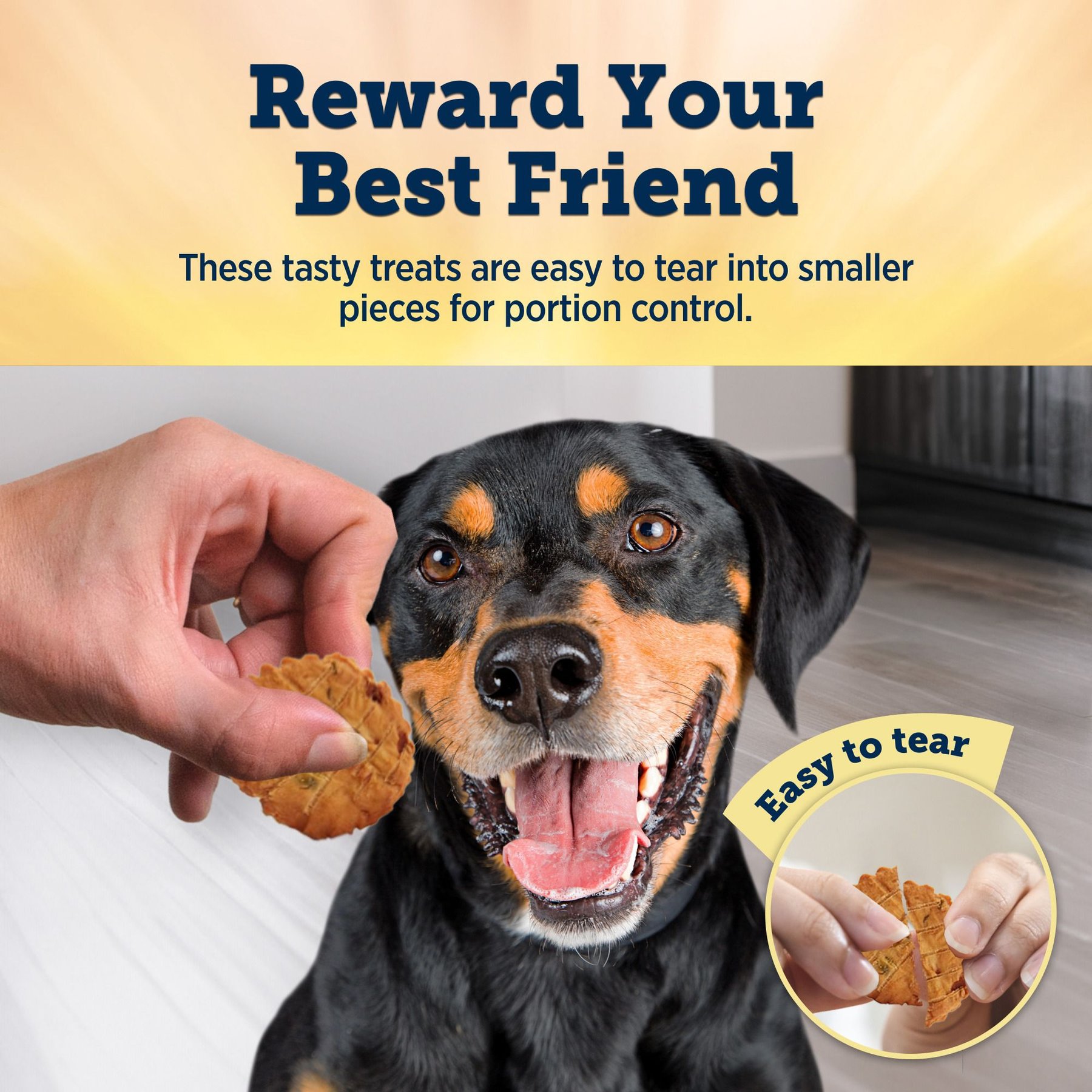 Blue Buffalo True Chews Chicken Pot Pie Recipe Dog Treats