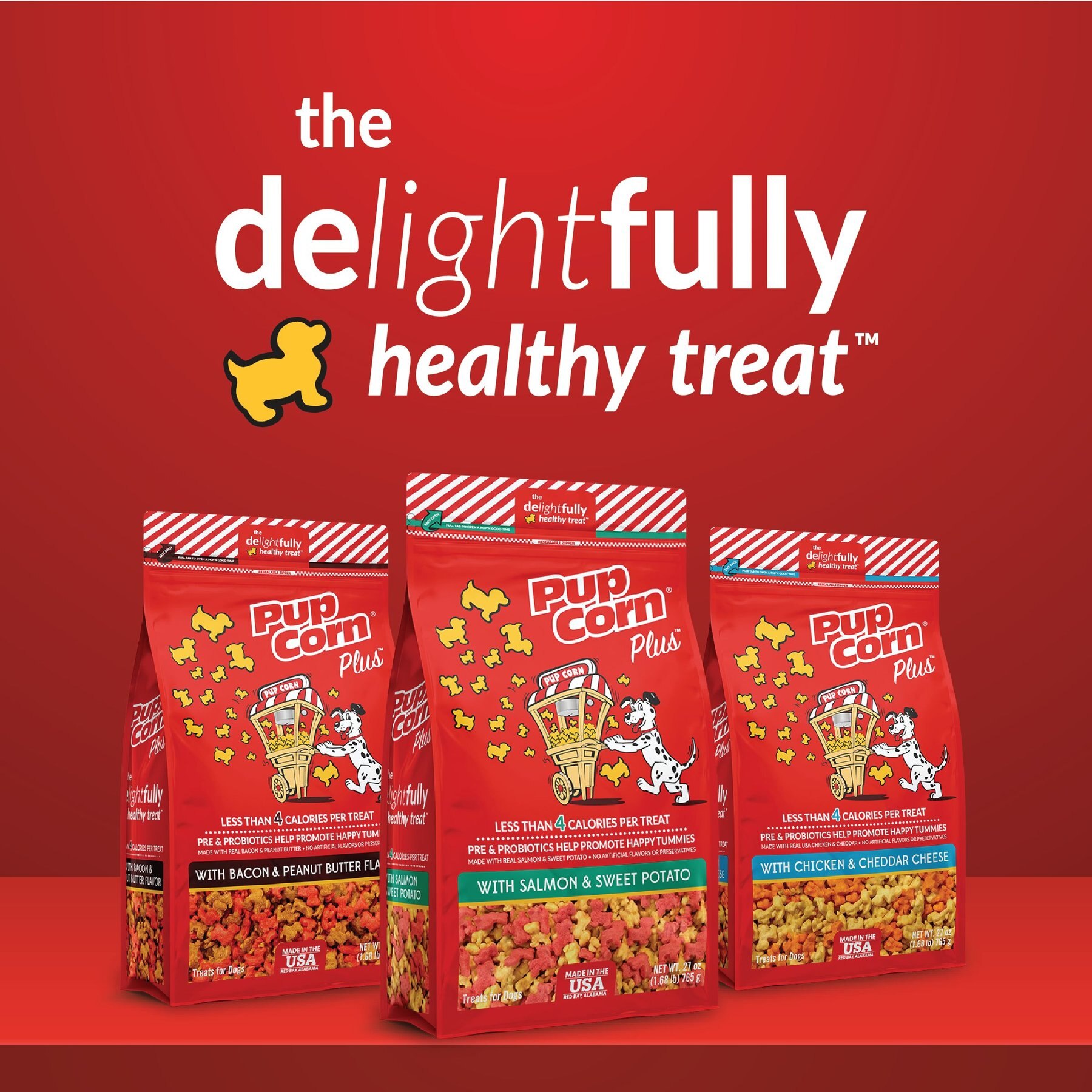 PupCorn Plus Salmon & Sweet Potato Dog Treats, 24.5-oz bag