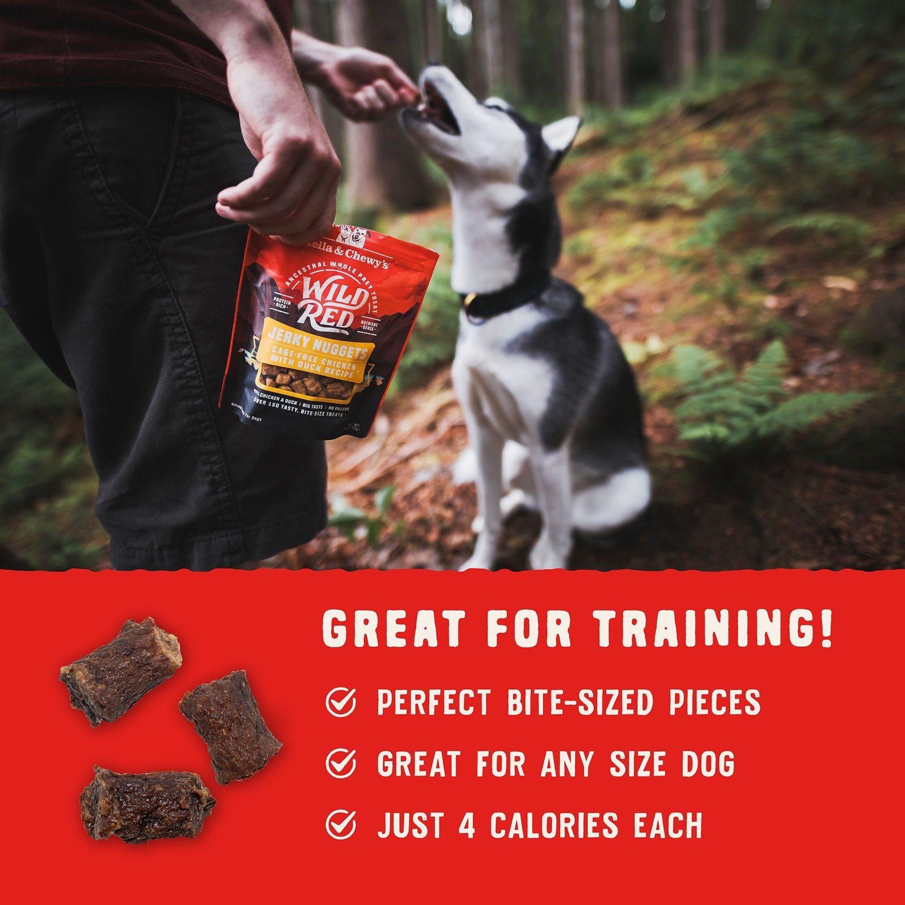 Stella & Chewy's Wild Red Jerky Nuggets Chicken & Duck Recipe Grain-Free Dog Treats, 6-oz bag