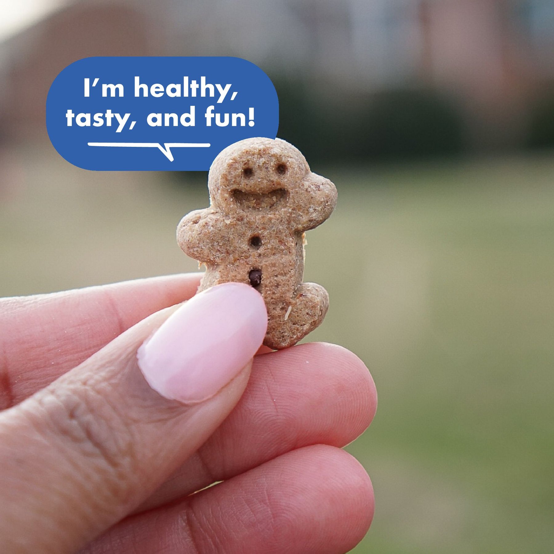 Buddy Biscuits Original Soft & Chewy with Bacon & Cheese Dog Treats
