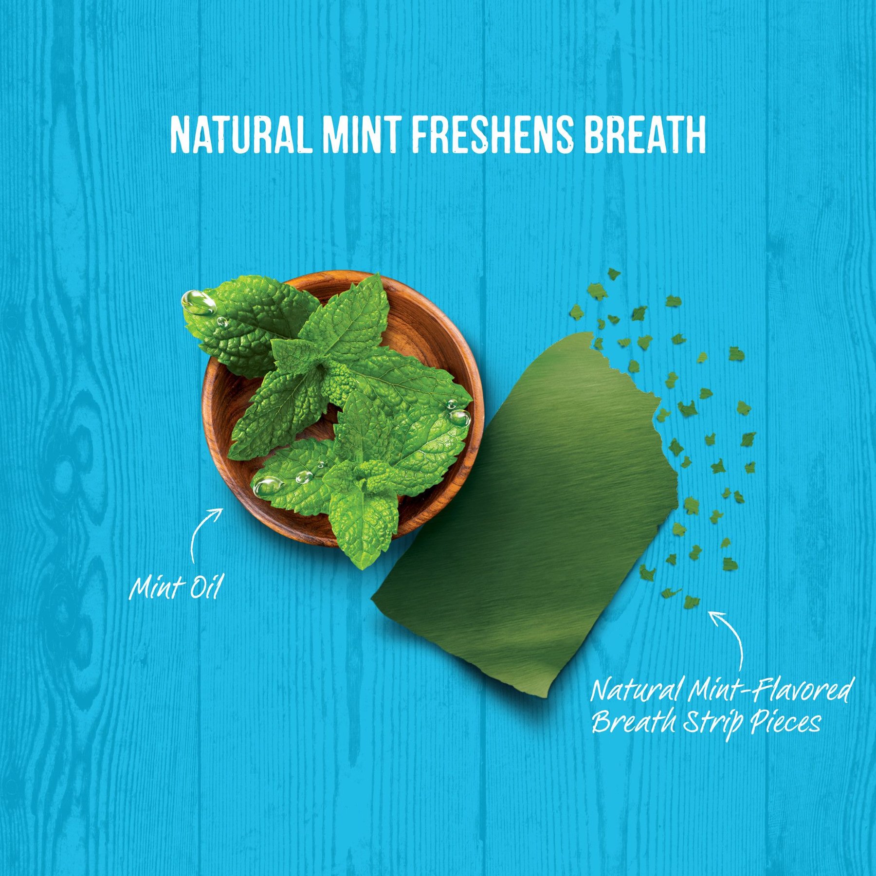 Merrick Fresh Kisses Double-Brush Mint Breath Strip Infused X-Small Dental Dog Treats