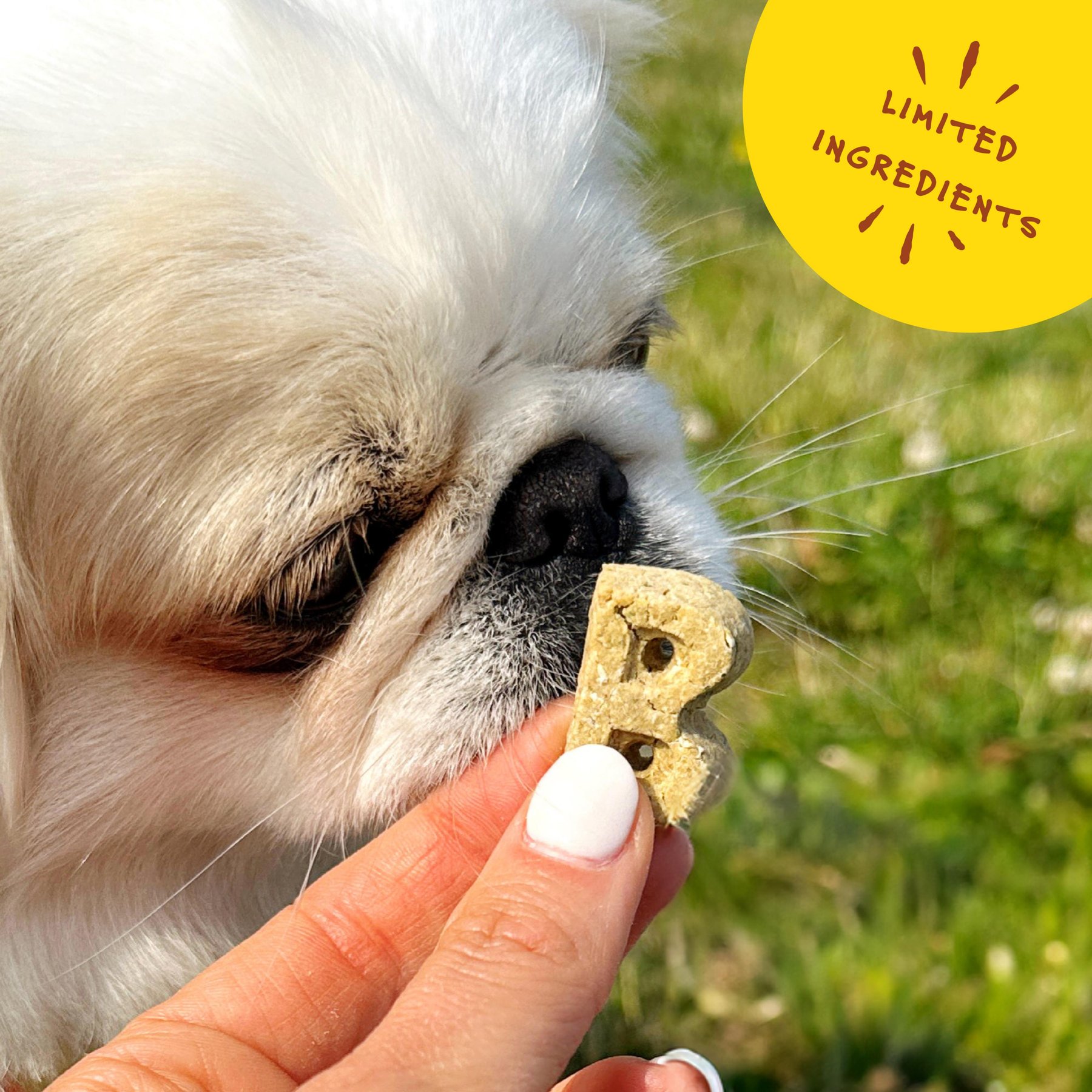 Bocce's Bakery Oven Baked Wheat-Free Pb + Banana Recipe Dog Treats