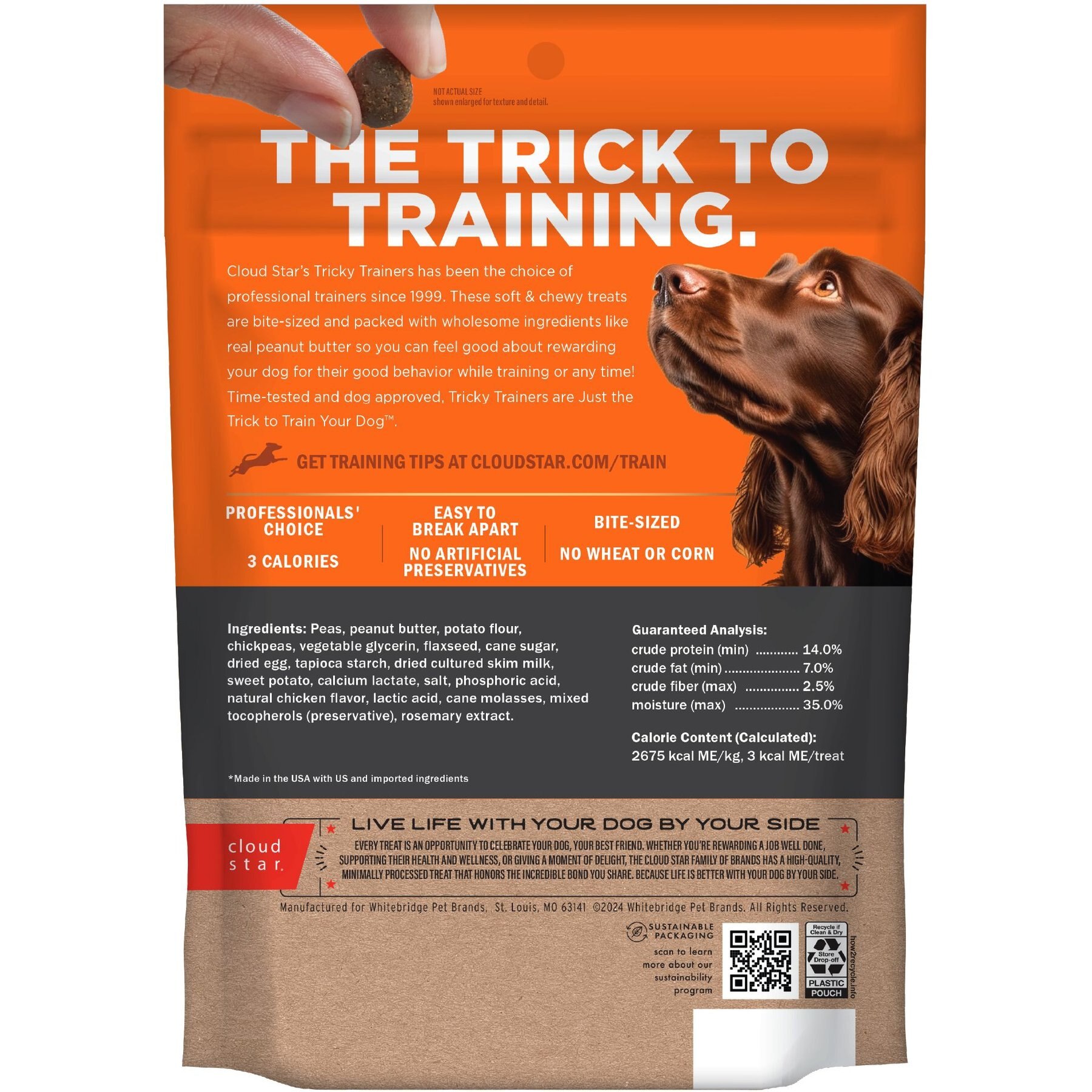 Cloud Star Tricky Trainers Chewy Peanut Butter Flavor Grain-Free Dog Treats