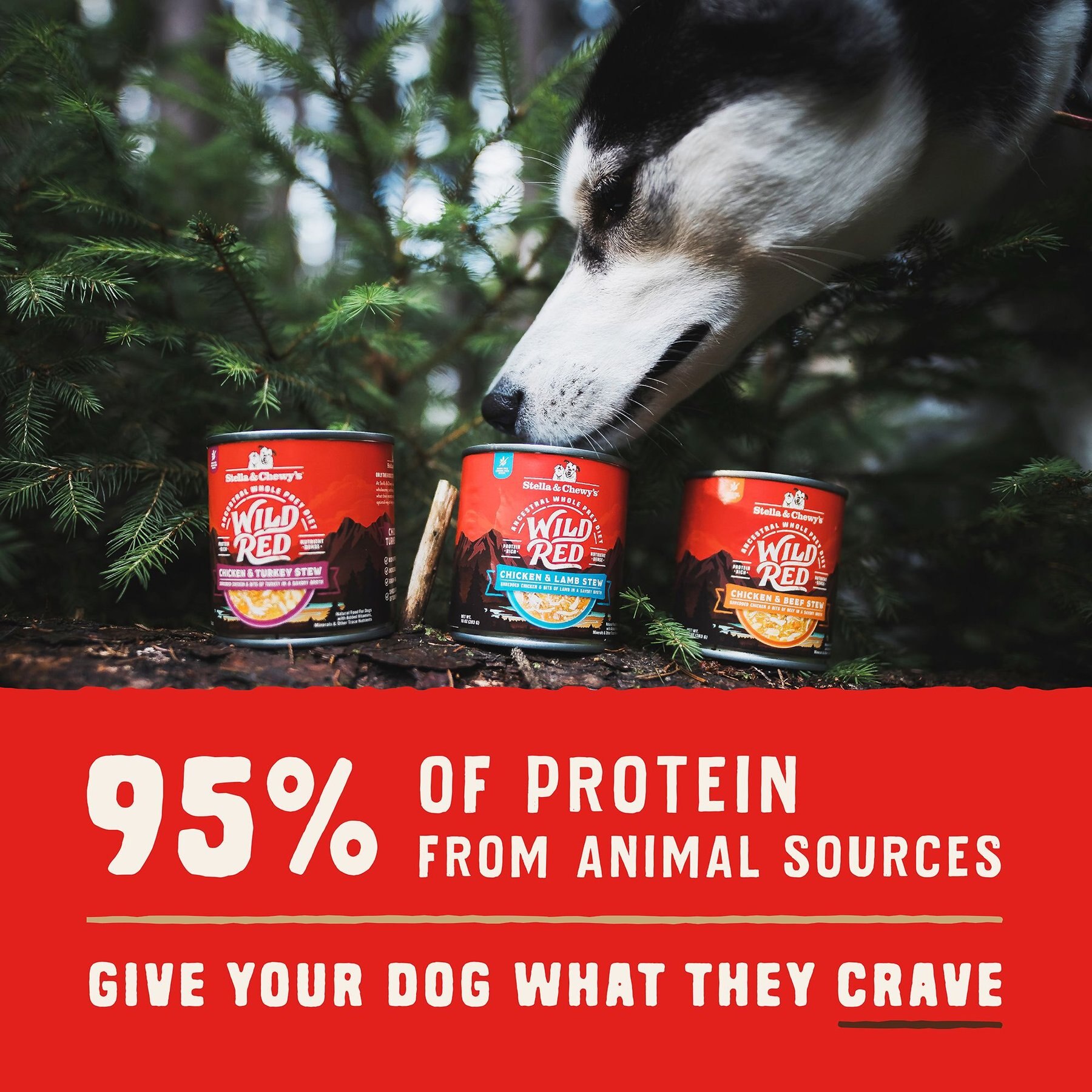 Stella & Chewy's Wild Red Grain-Free Chicken & Turkey Stew Wet Dog Food