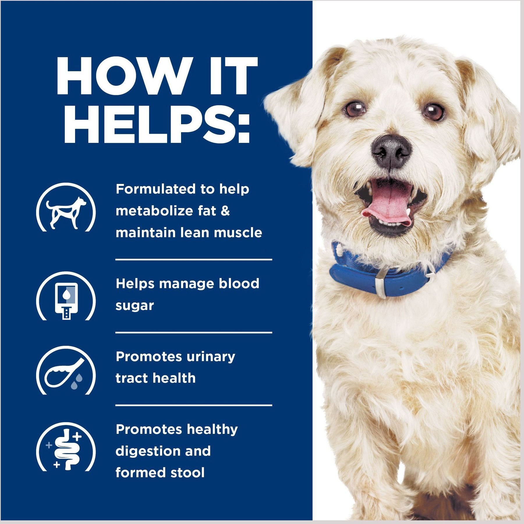 Hill's Prescription Diet w/d Multi-Benefit Digestive, Weight, Glucose, Urinary Management Vegetable & Chicken Stew Canned Dog Food