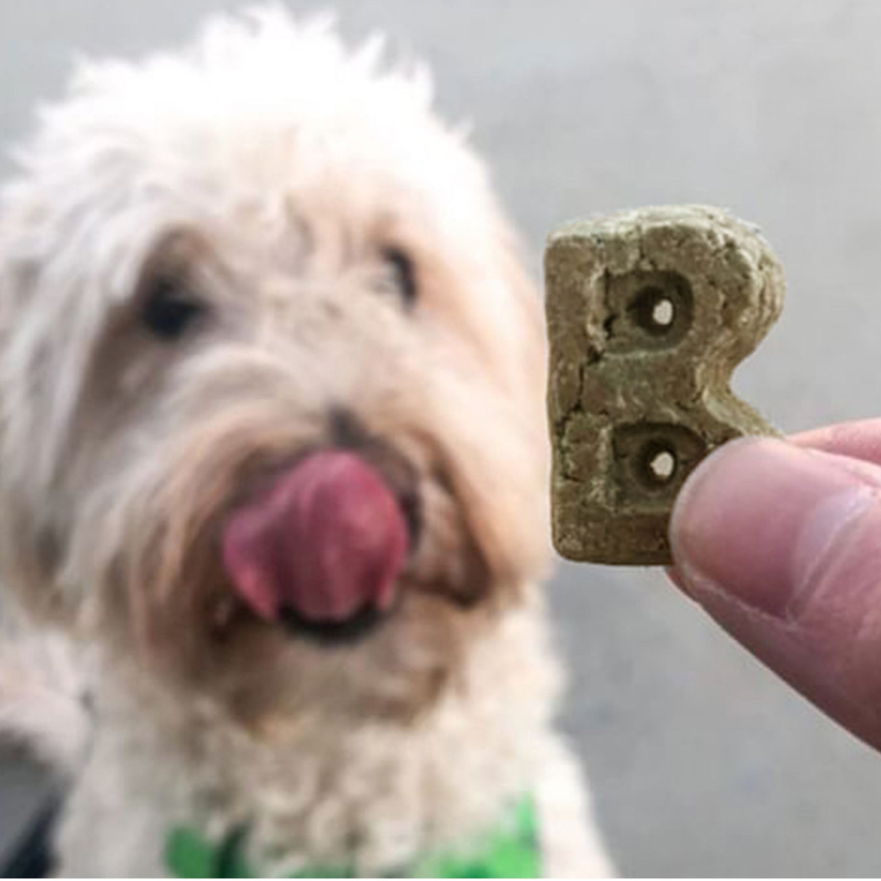 Bocce's Bakery Dailies Brushy Bites Apple + Mint Recipe Dog Treats, 6-oz pouch