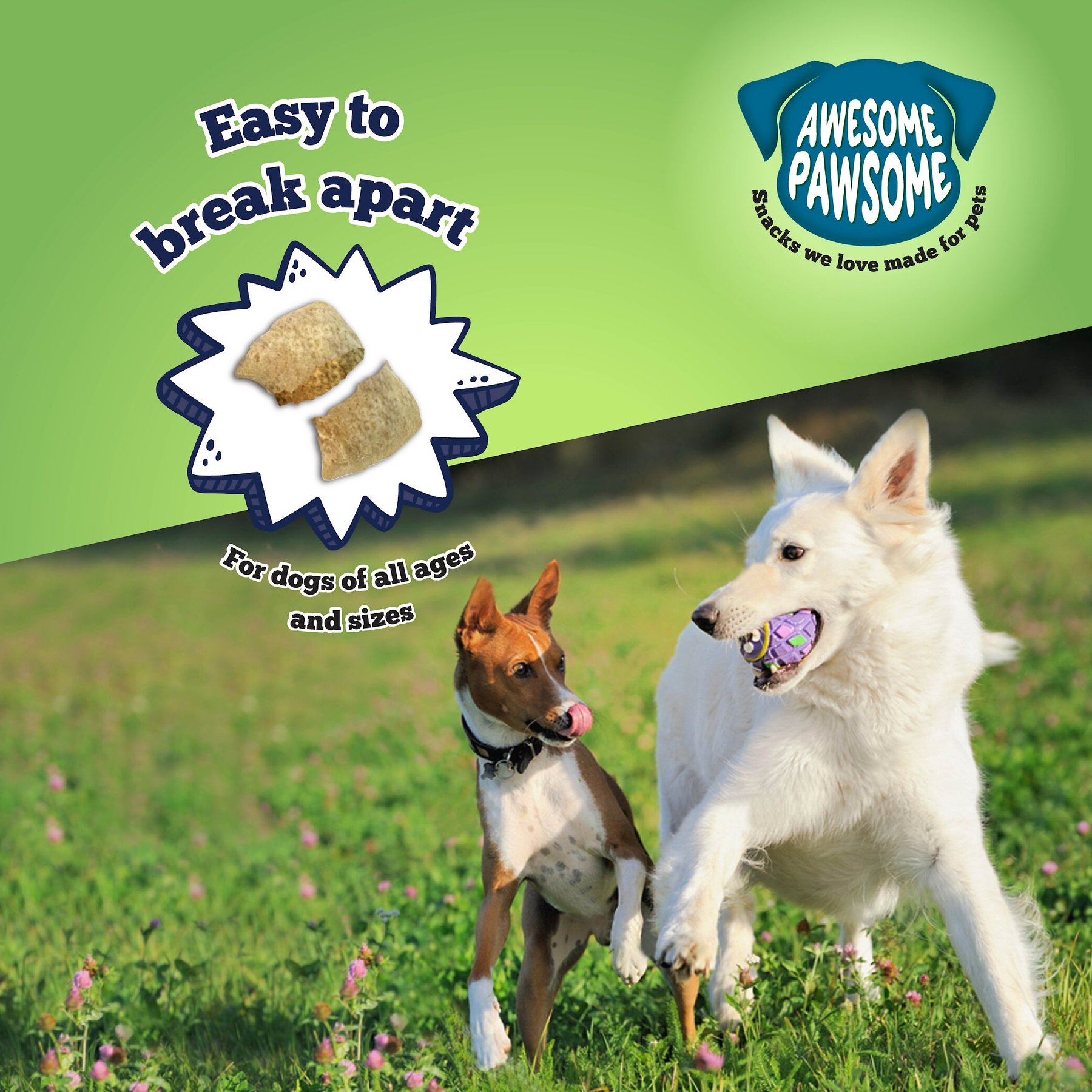 Awesome Pawsome Chicken Dumpling Dog Treats, 3-oz bag
