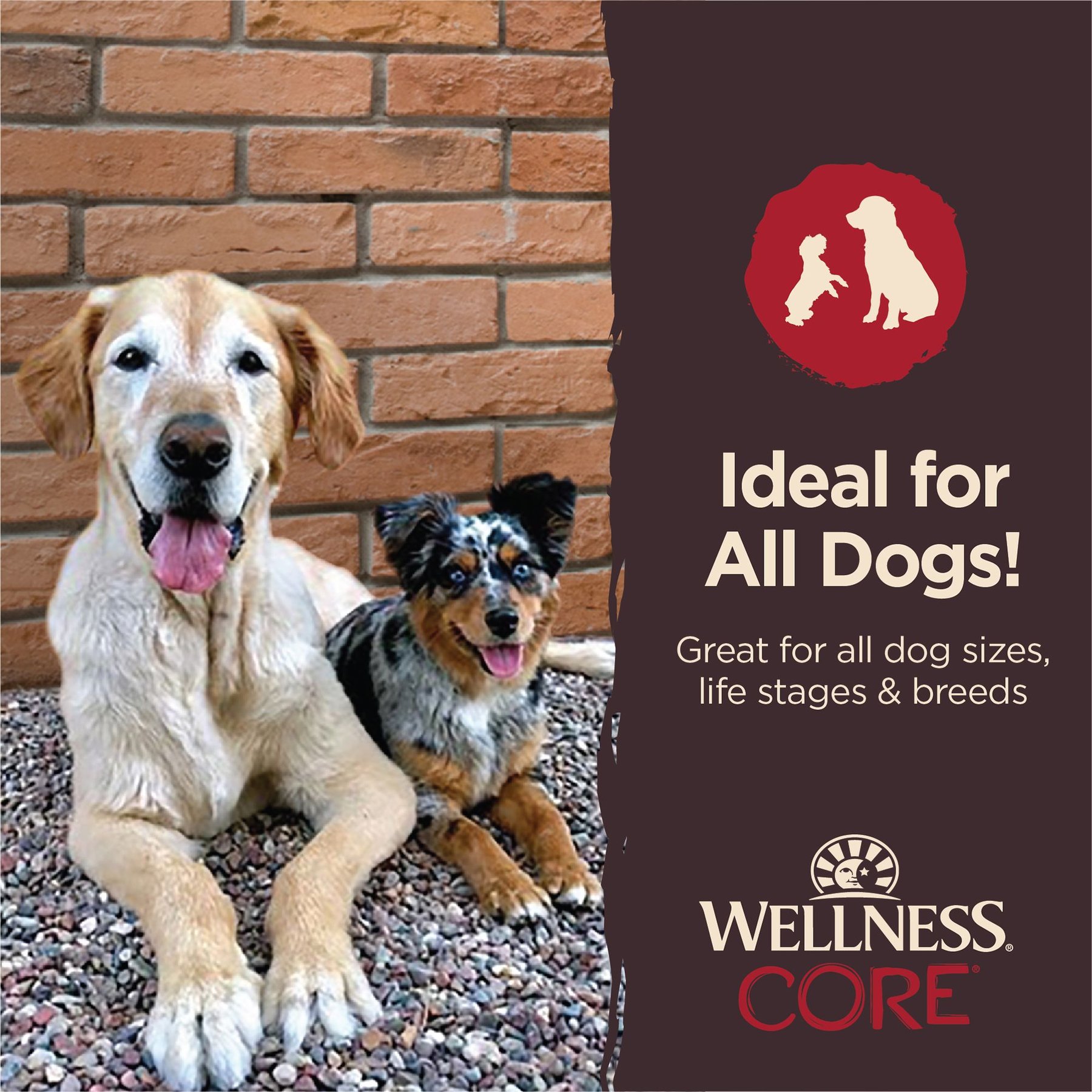 Wellness CORE Power Packed Beef Grain-Free Jerky Dog Treats