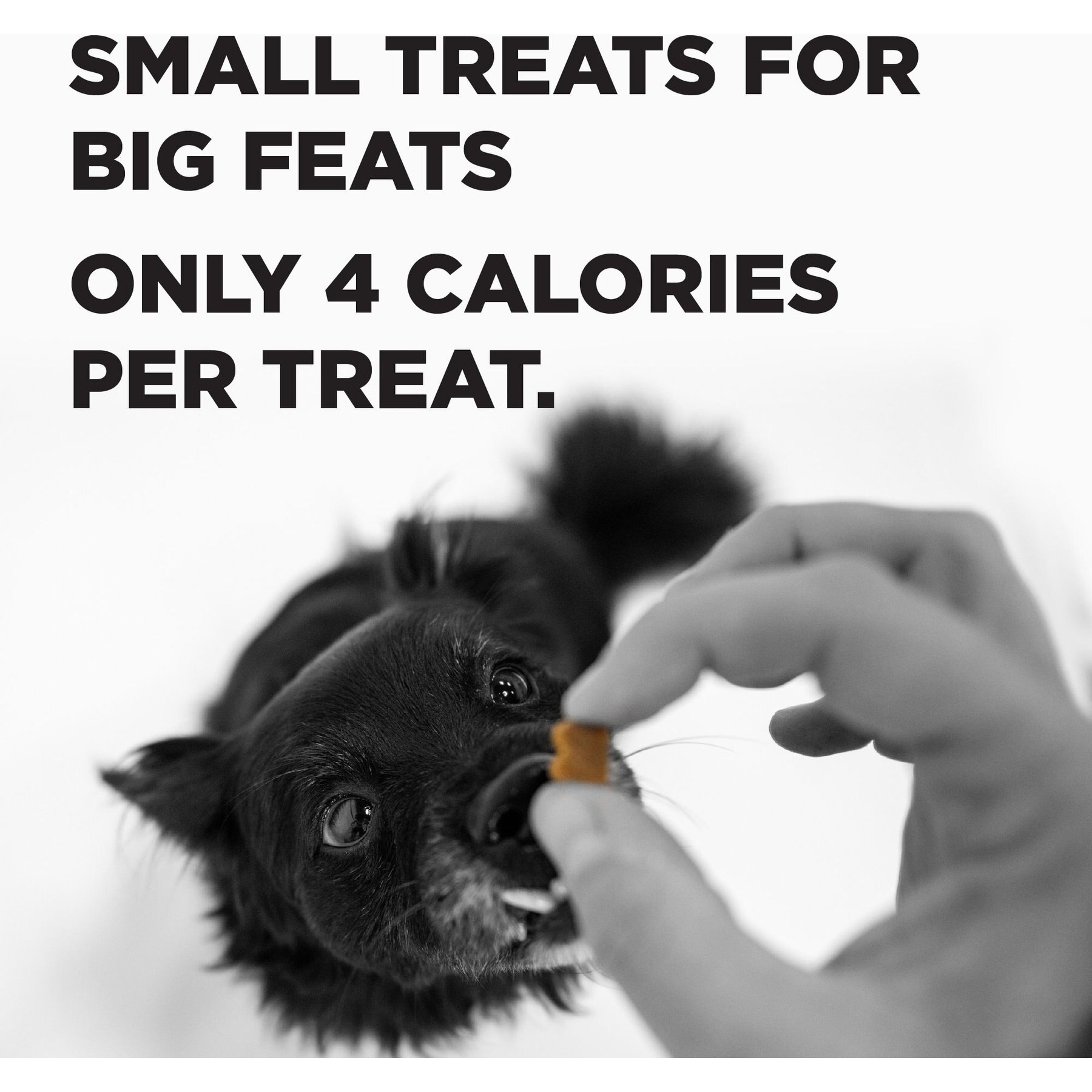 BIXBI Pocket Trainers Salmon Flavor Grain-Free Dog Treats