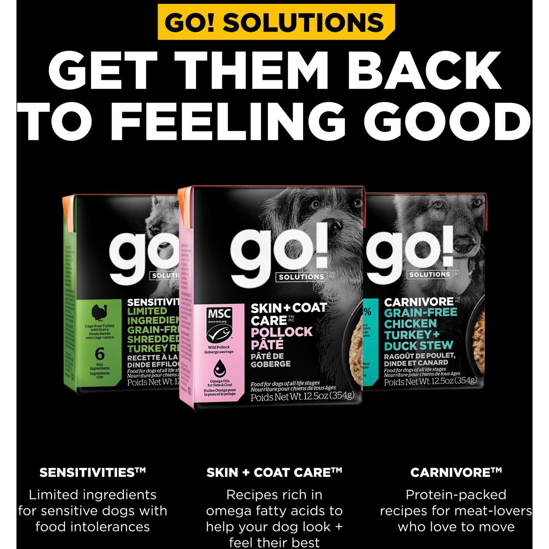 Go! Solutions Skin + Coat Care Pollock Pate Dog Food