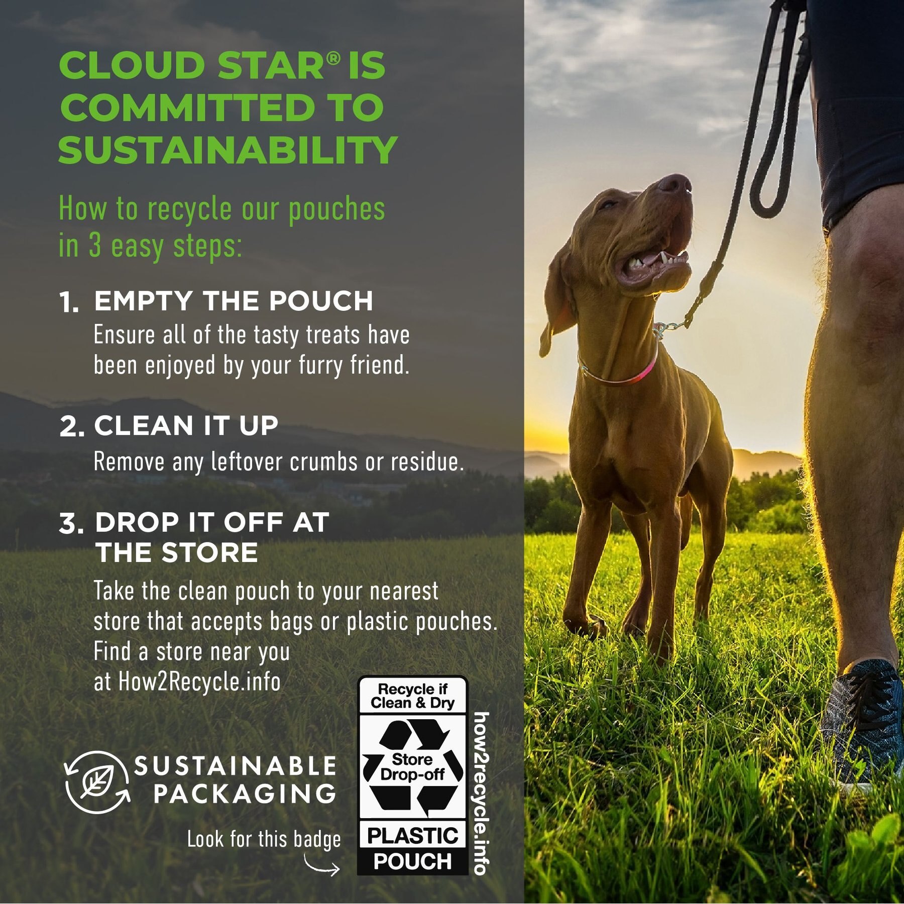 Cloud Star Wag More Bark Less Gyro Lamb Recipe Meatballs Grain-Free Dog Treats