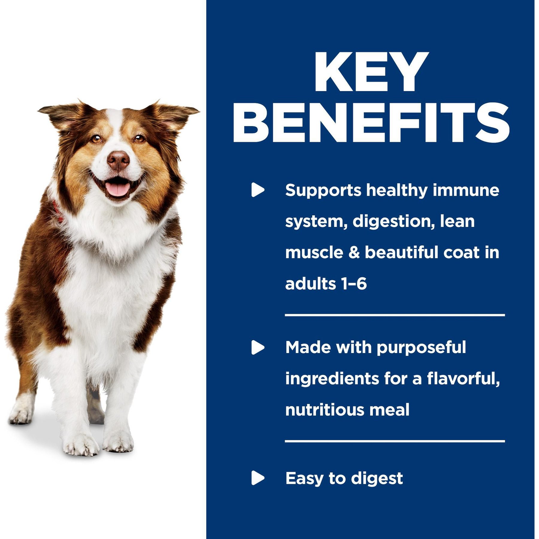Hill's Science Diet Adult Healthy Cuisine Roasted Chicken, Carrots & Spinach Stew Canned Dog Food
