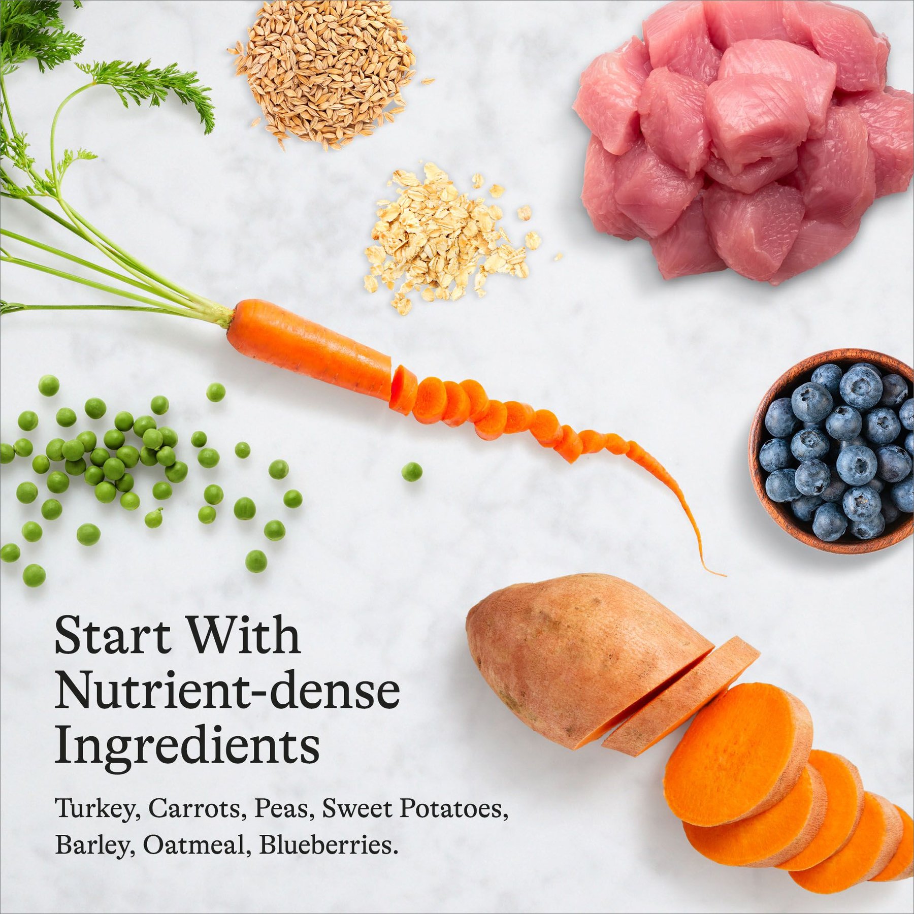 American Journey Turkey & Vegetables Recipe Canned Dog Food