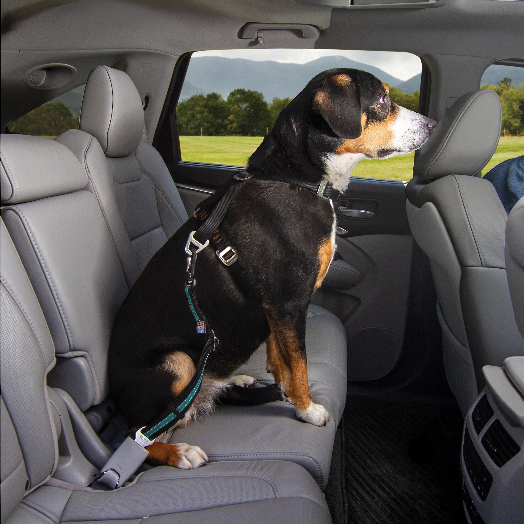 Kurgo Direct to Seatbelt Swivel Dog Collar Tether