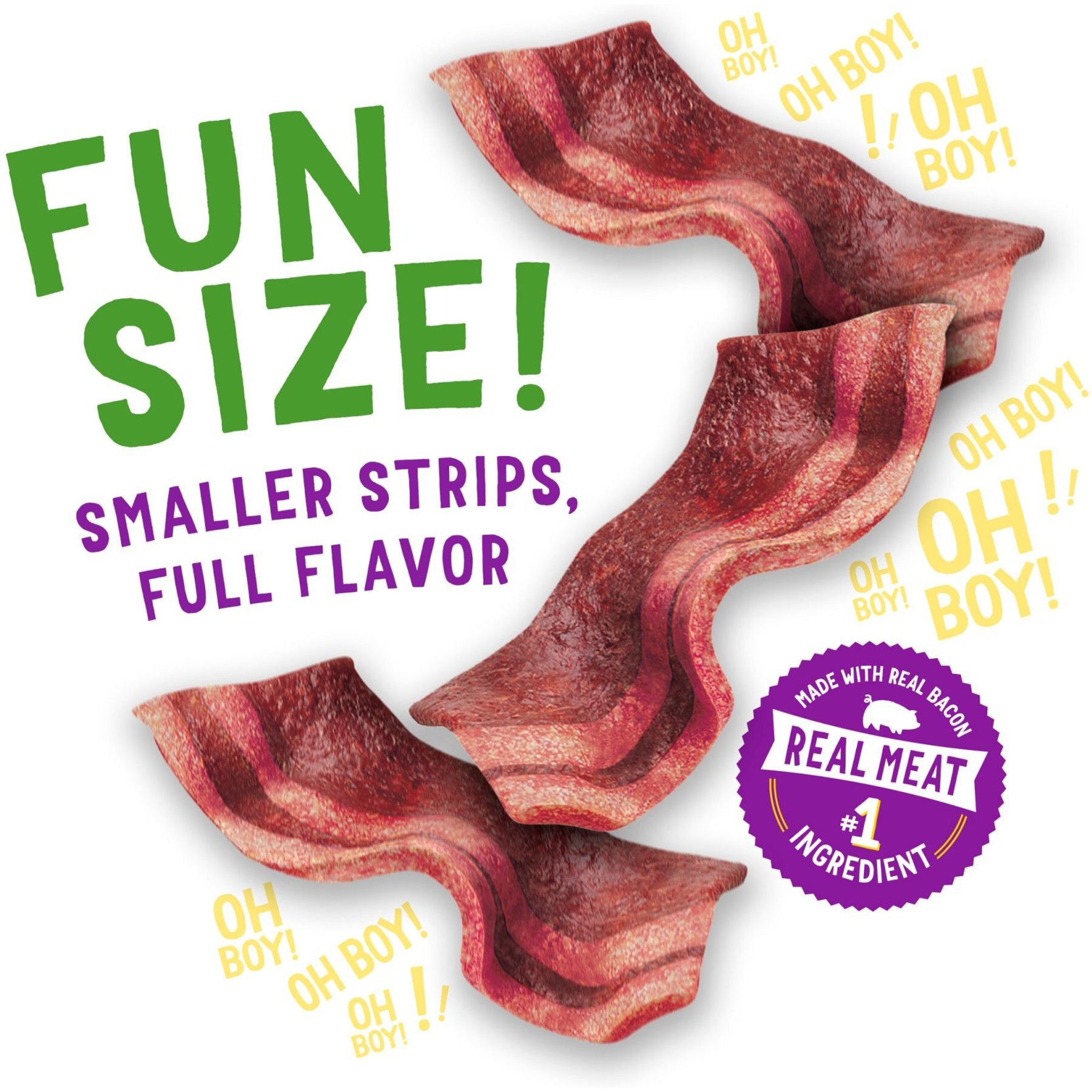 Purina Beggin' Real Meat Fun Size Original with Bacon Flavored Dog Treats