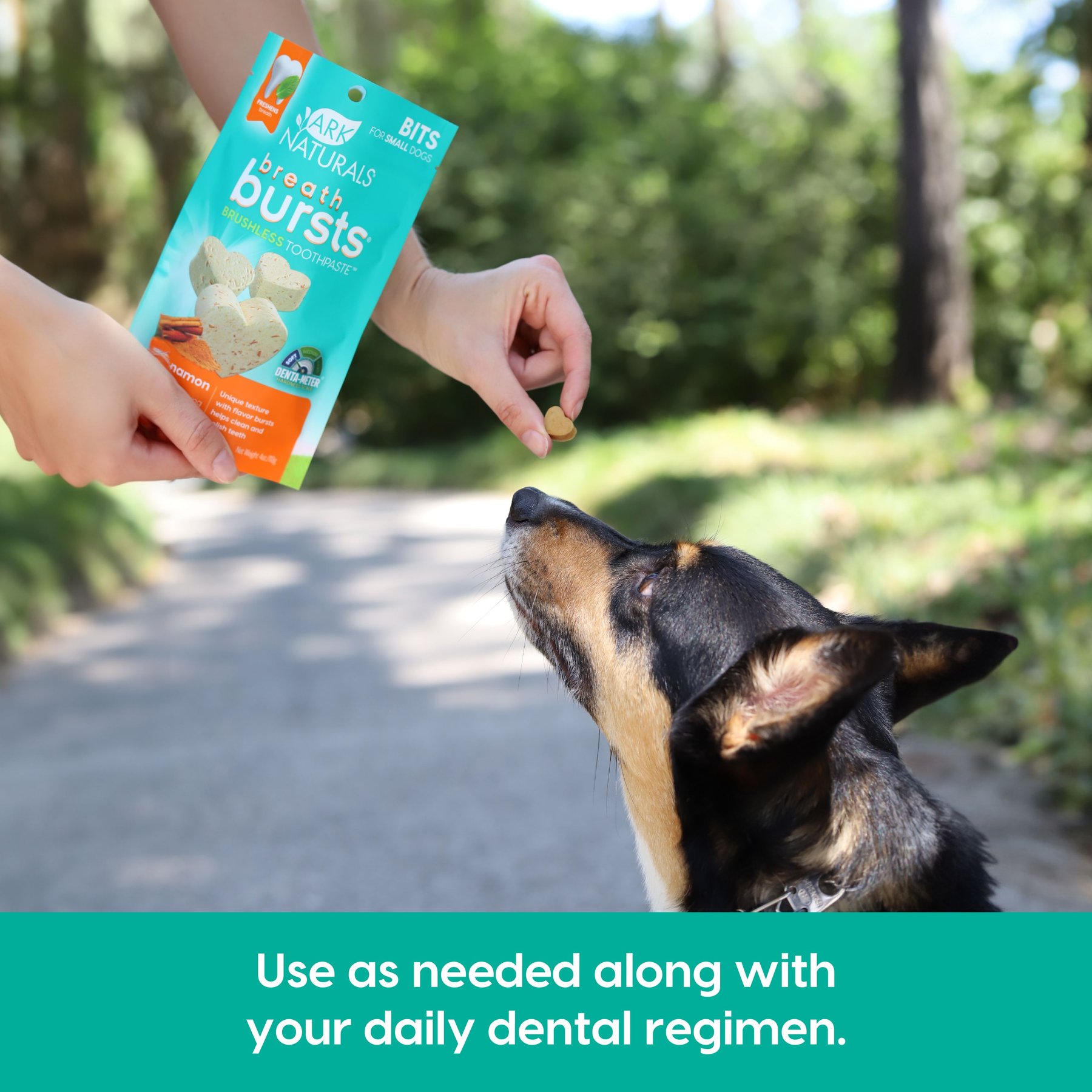 Ark Naturals Breath Bursts Cinnamon Bits Small Dental Dog Treats, 4-oz bag