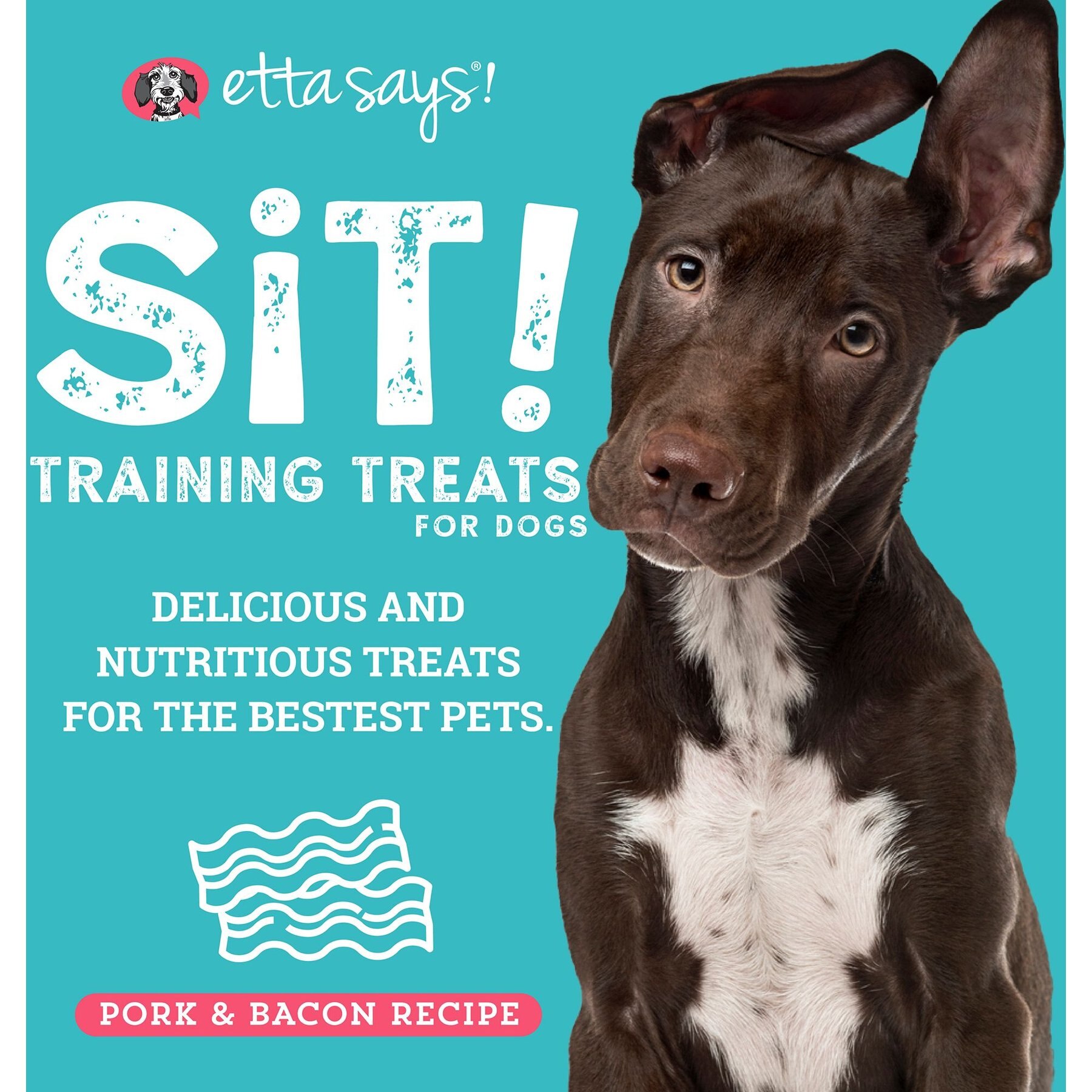 Etta Says! Sit! Training Treats Bacon Recipe Dog Treats, 6-oz bag