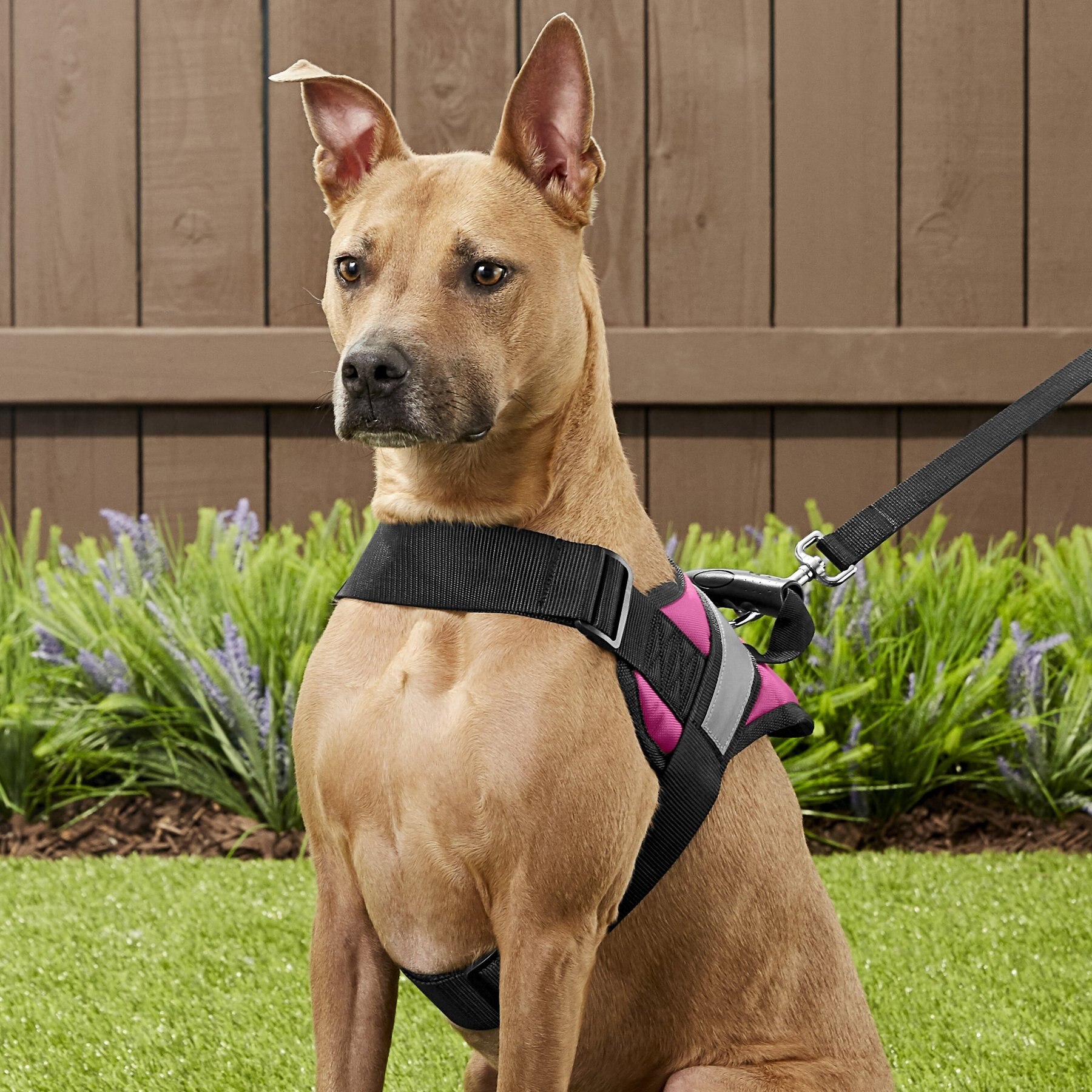 HDP Big No Pull Dog Harness Free shipping