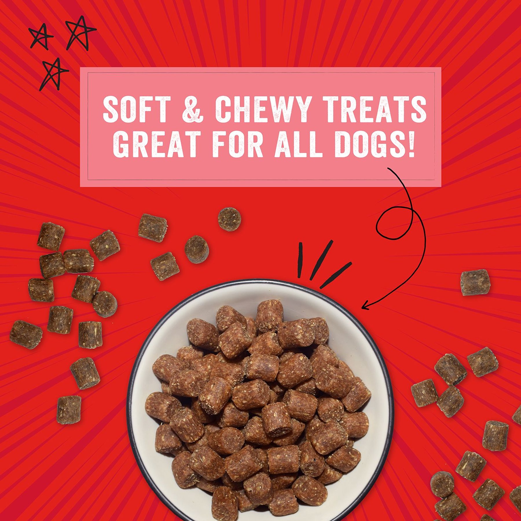 Stella & Chewy's Crav'n Bac'n Bites Bacon & Pork Recipe Dog Treats, 8.25-oz bag