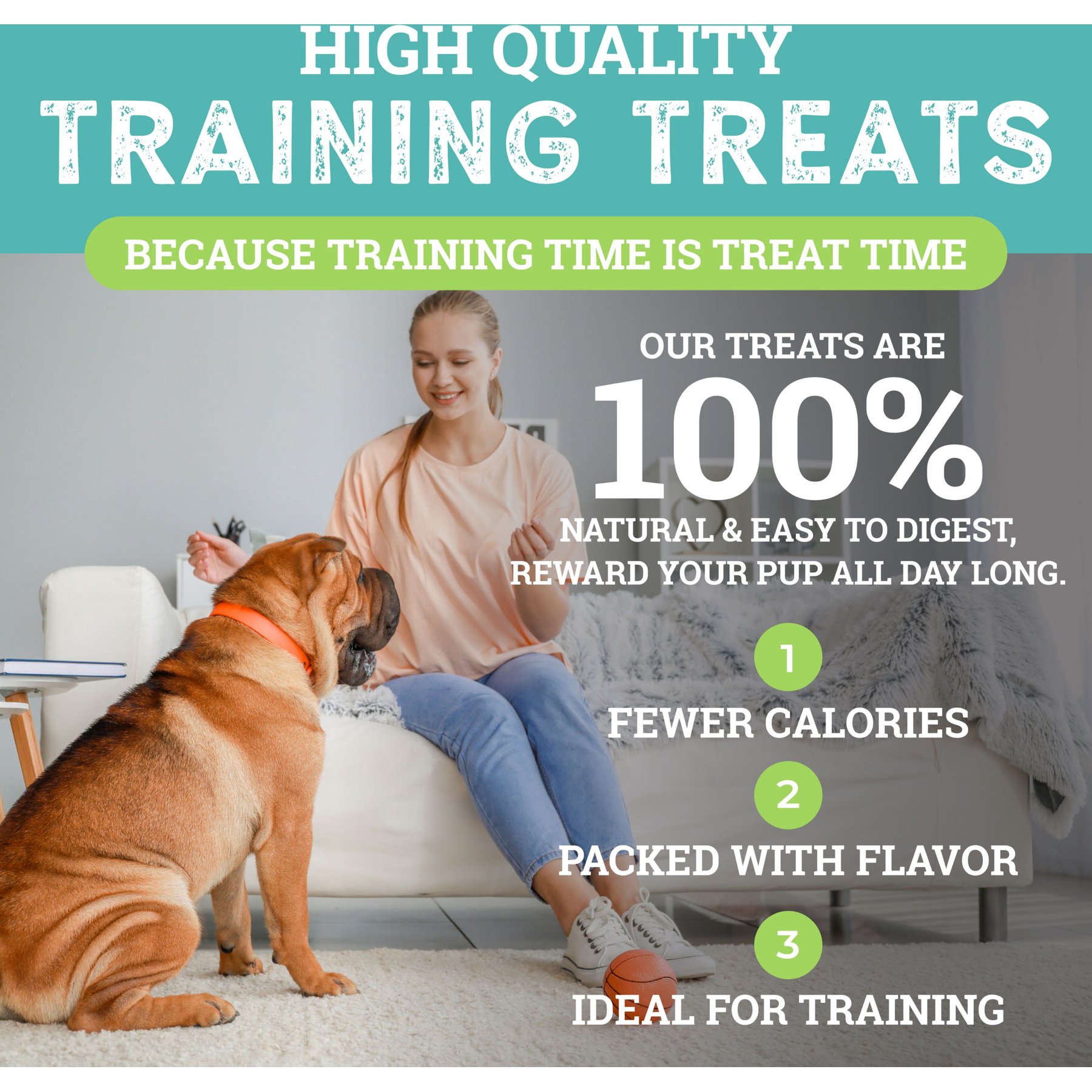Etta Says! Sit! Cheese Recipe Soft & Chewy Dog Training Treats, 1-lb bag