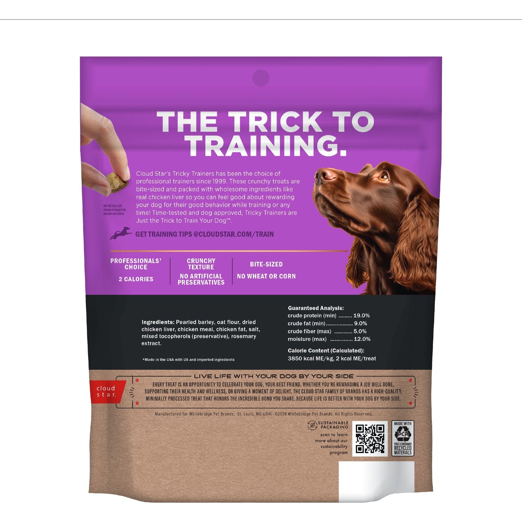 Cloud Star Crunchy Tricky Trainers Liver Flavor Dog Treats