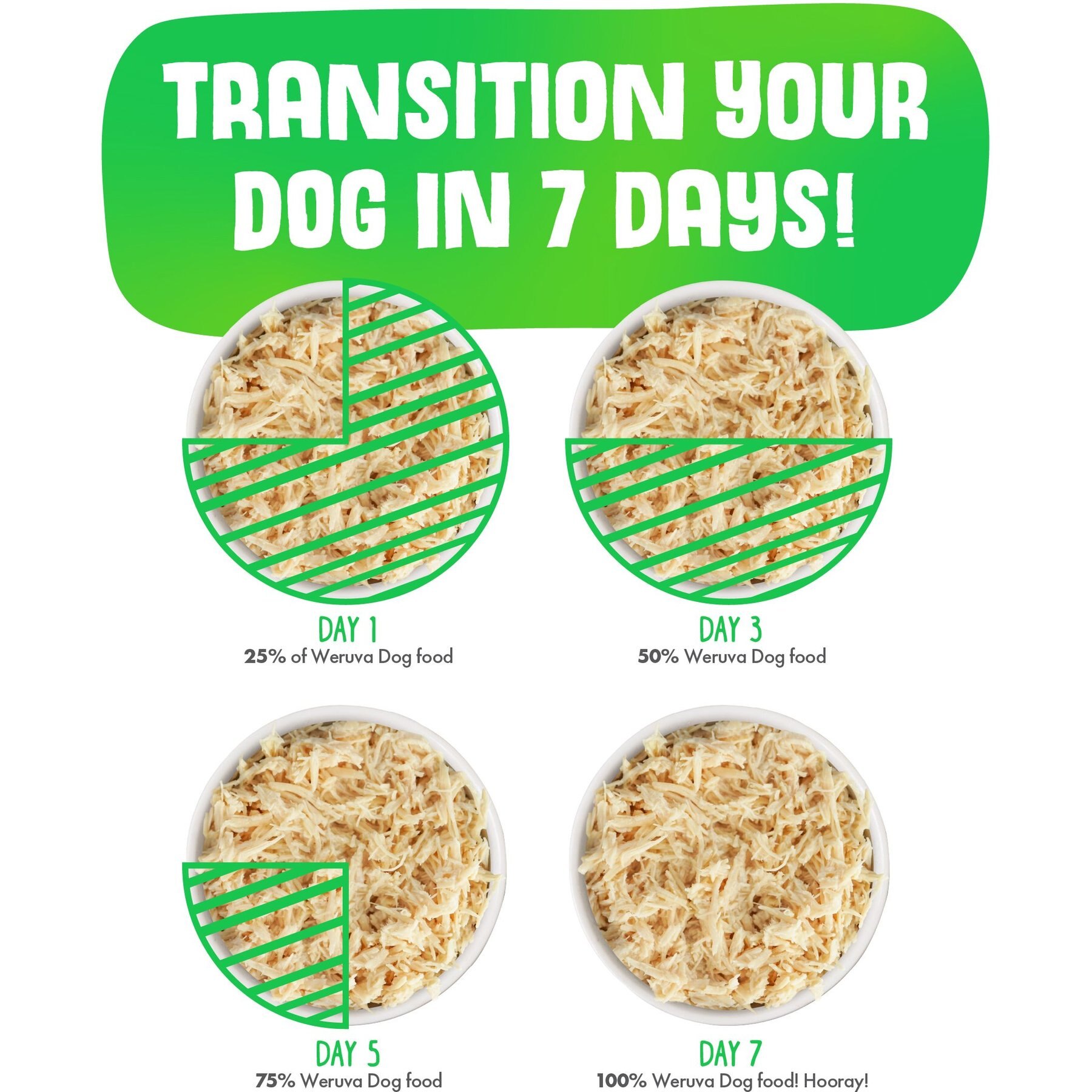 Weruva Bed & Breakfast with Chicken, Egg, Pumpkin & Ham in Gravy Grain-Free Canned Dog Food