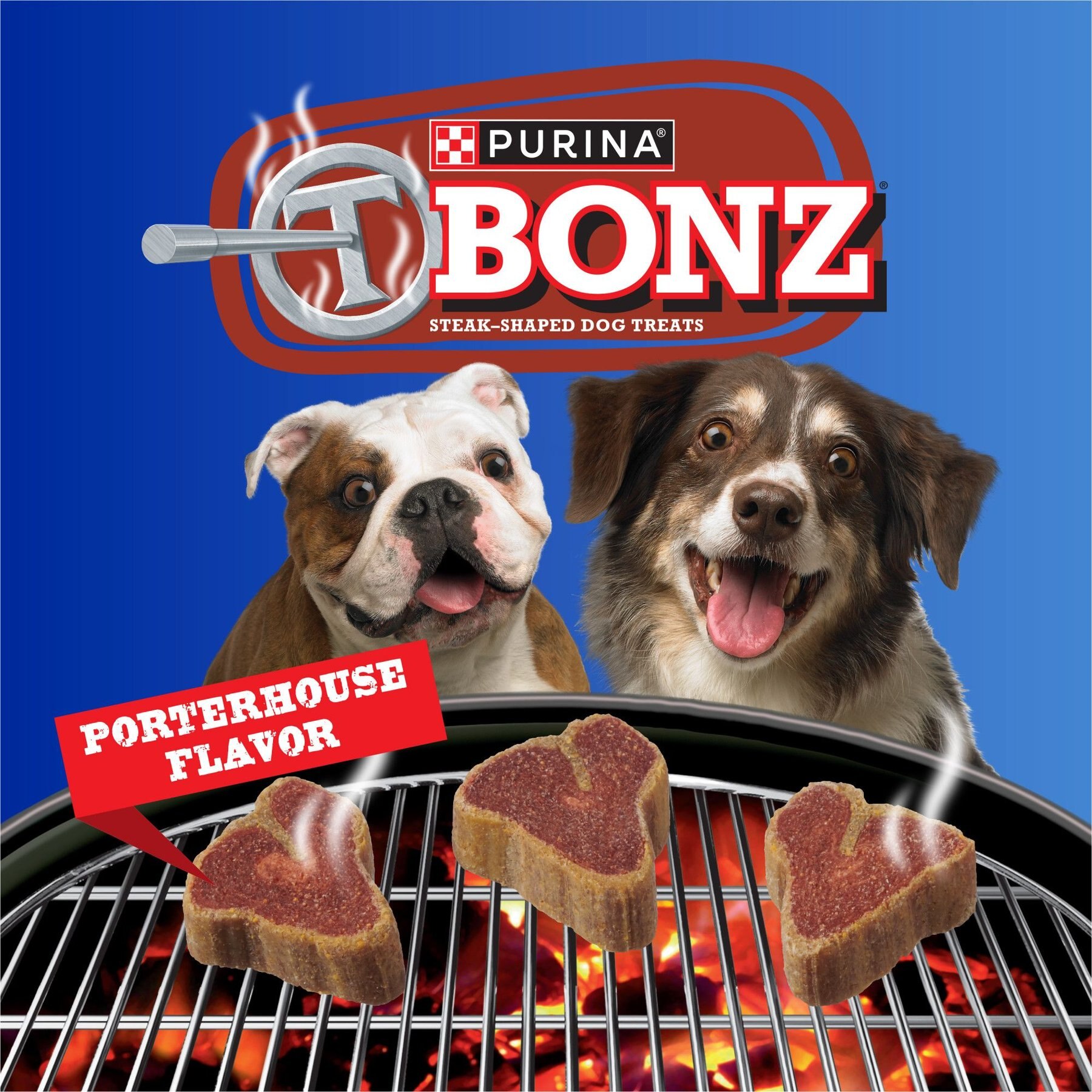 Purina TBONZ Porterhouse Beef Flavor Steak Shaped Adult Soft & Chewy Dog Treats