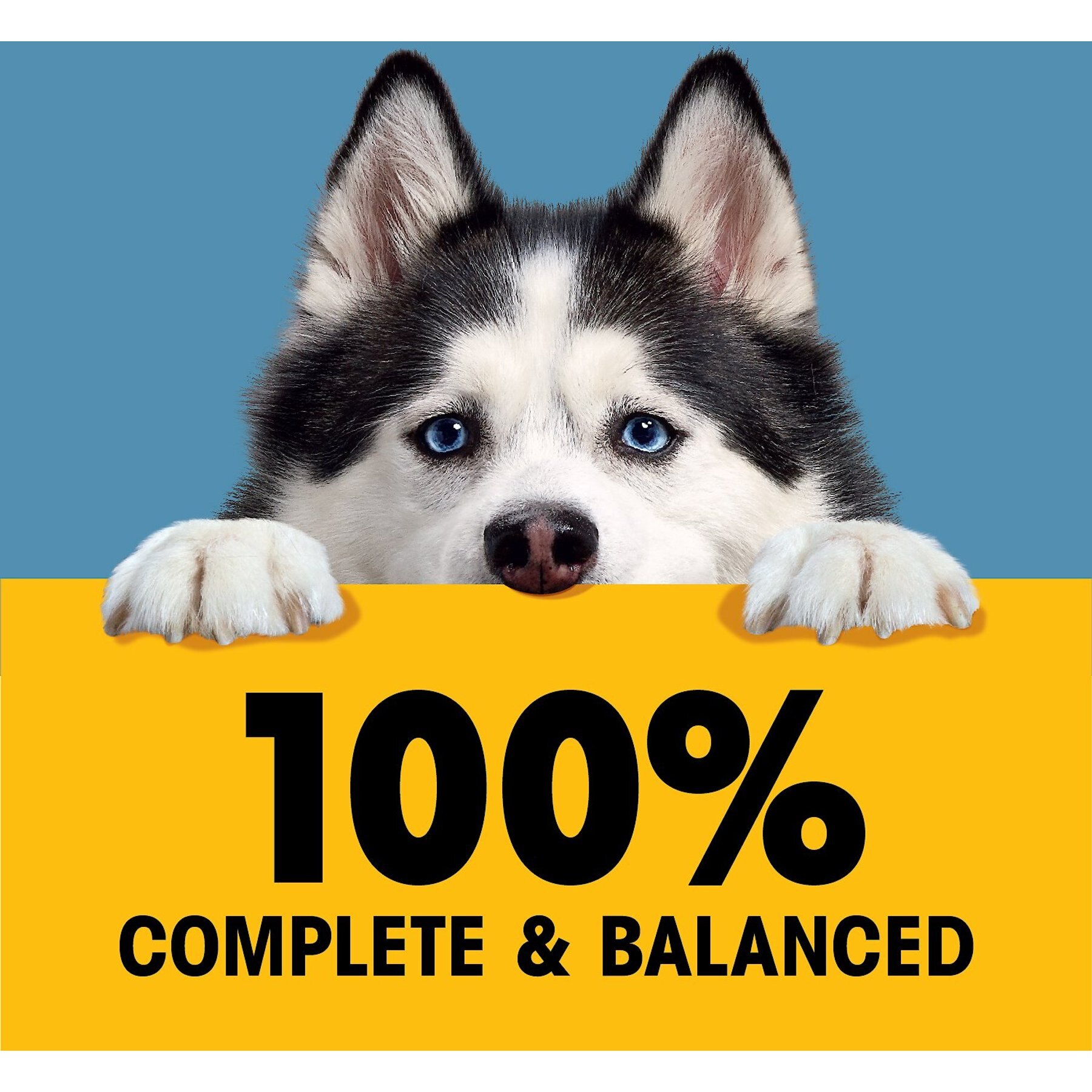 Pedigree High Protein Chicken & Turkey Cuts in Gravy Adult Dog Wet Food