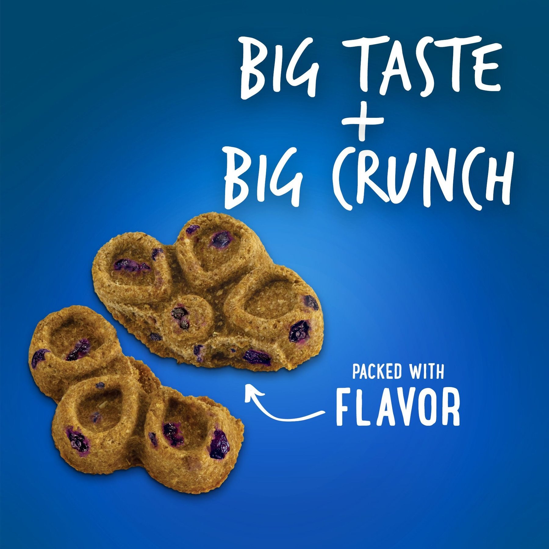 Fruitables Biggies with Real Pumpkin & Blueberry Dog Treats, 16-oz bag