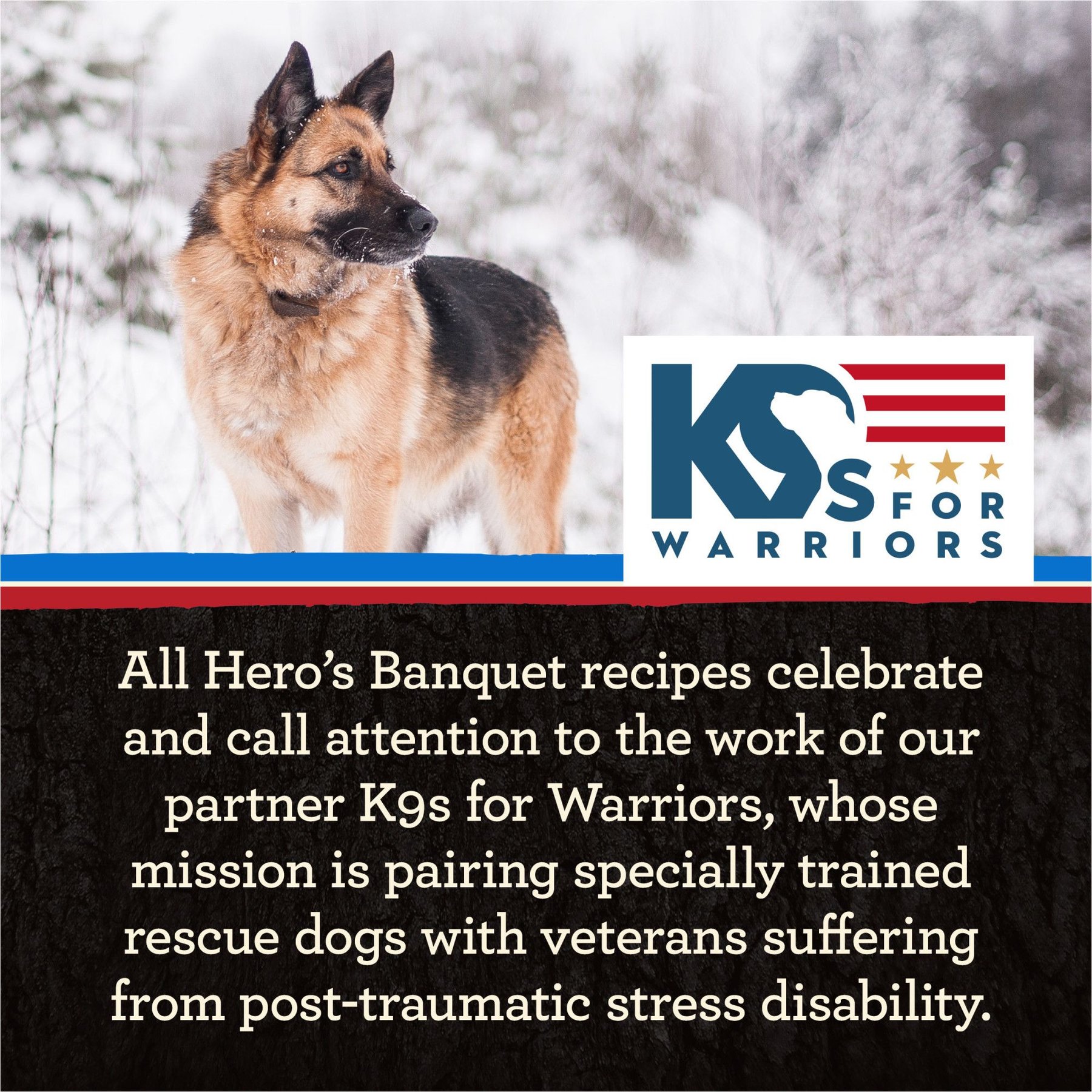 Merrick Backcountry Grain-Free Wet Dog Food Hero's Banquet Stew