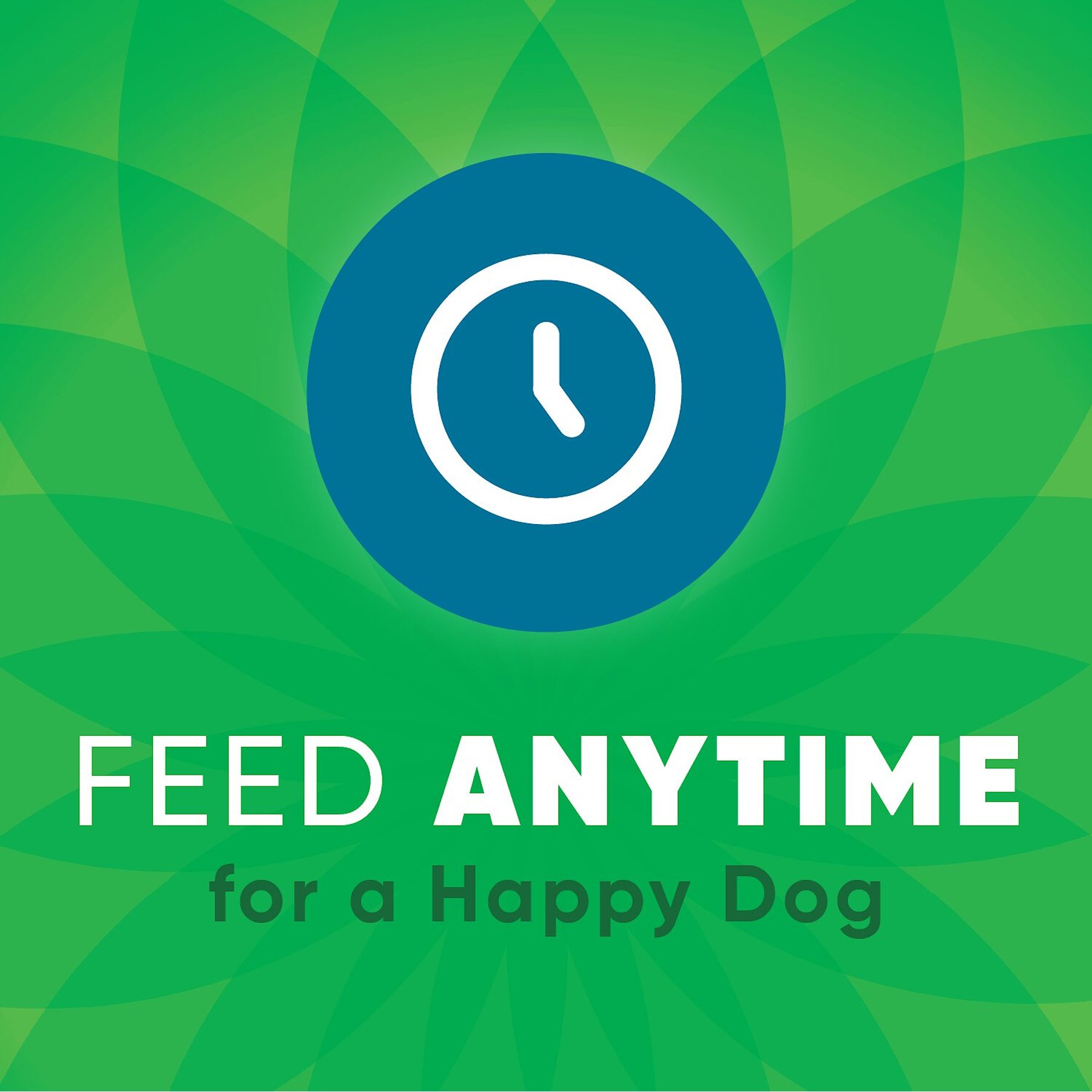 Greenies Anytime Bites Mint Flavor Soft & Chewy Dog Treat