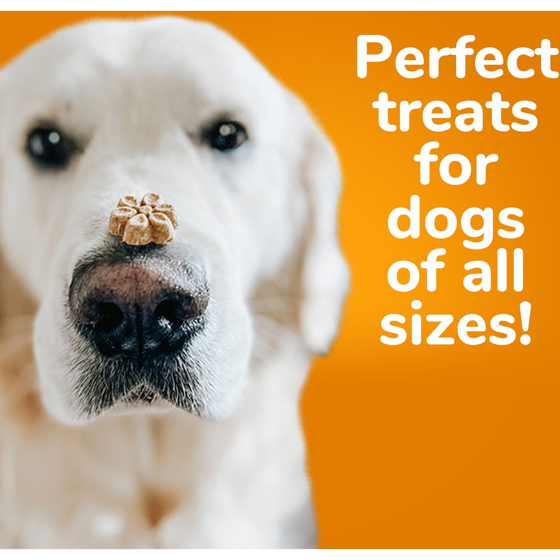 Fruitables Sweet Potato & Pecan Flavor Crunchy Dog Treats