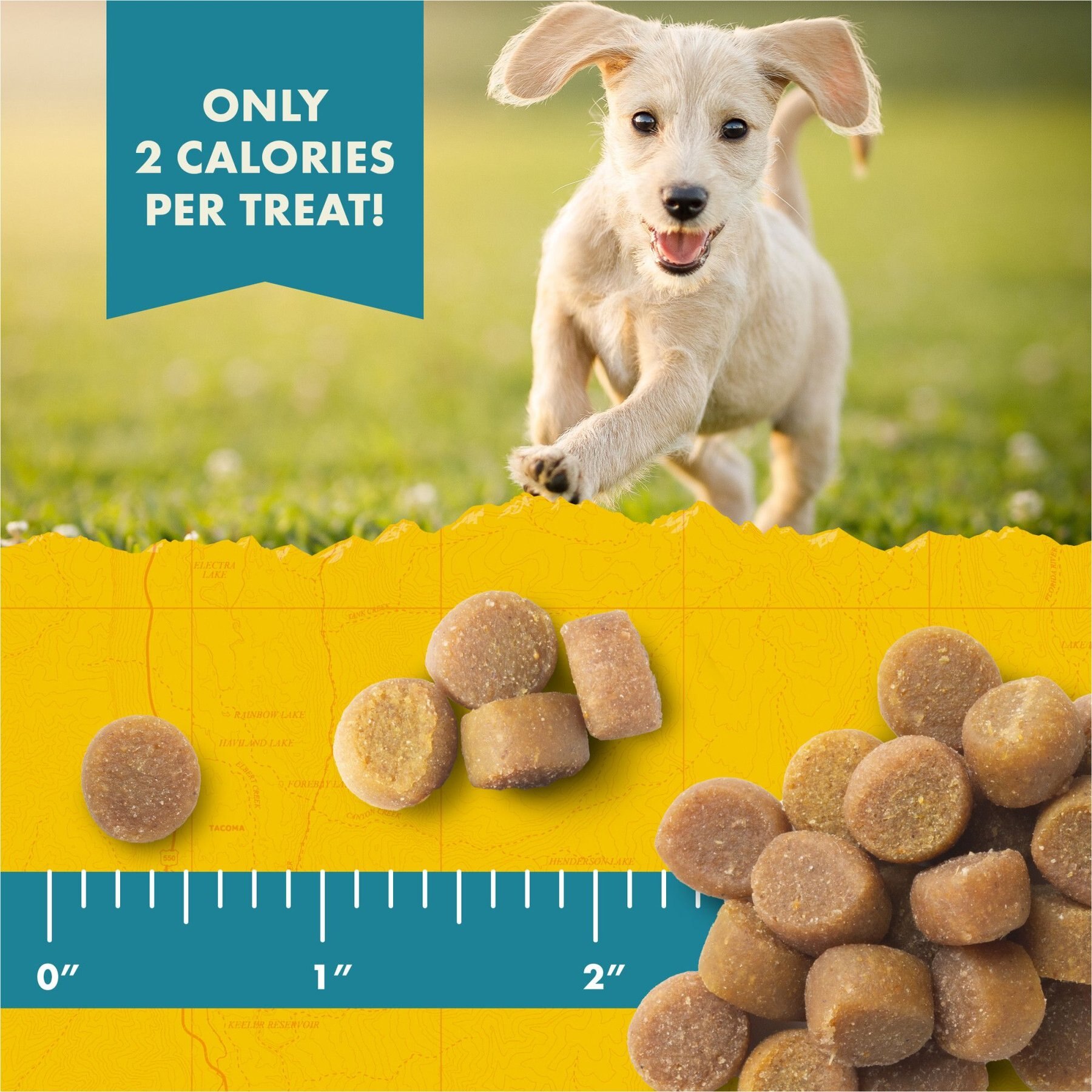 Zuke's Puppy Naturals Pork & Chickpea Recipe Grain-Free Dog Treats