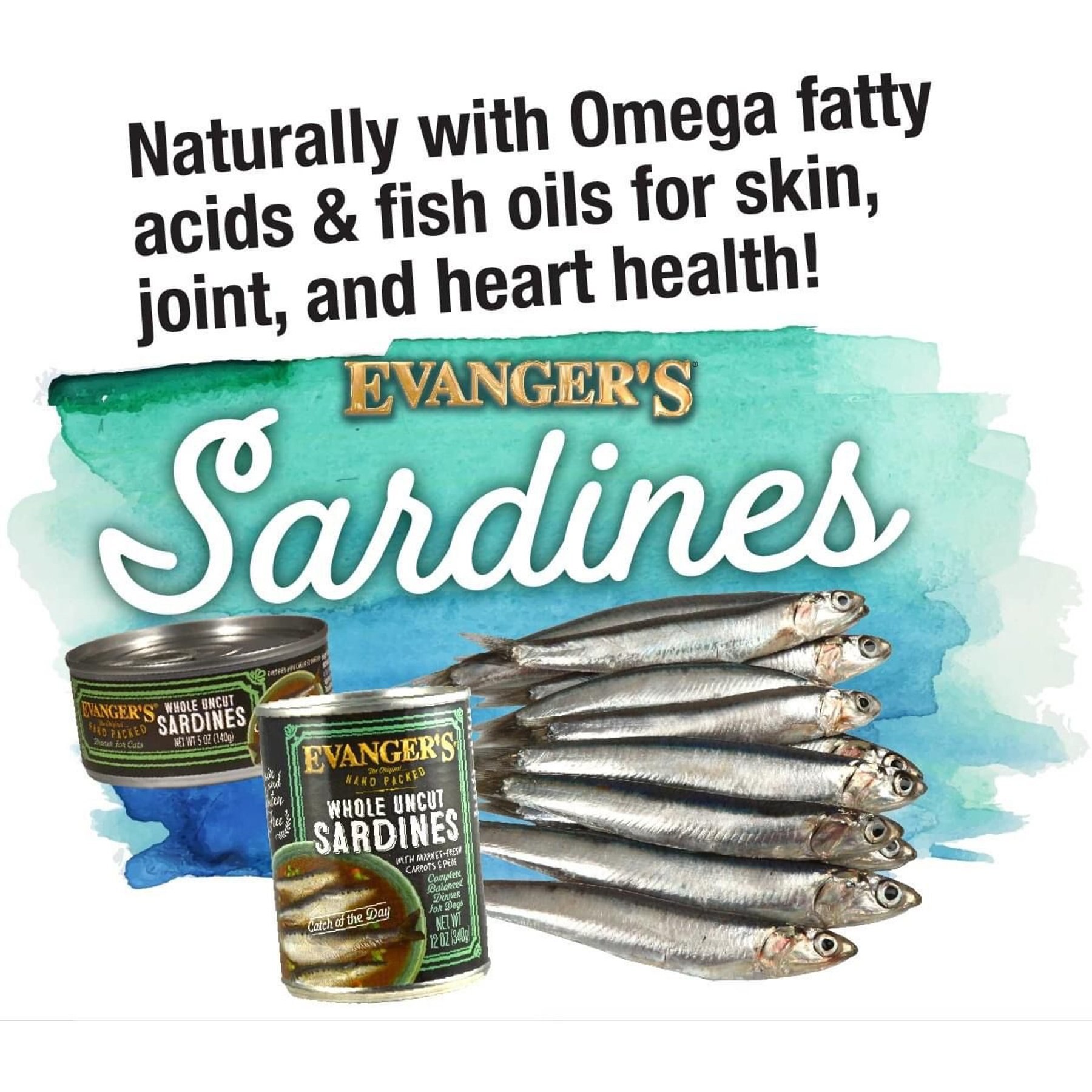 Evanger's Grain-Free Hand Packed Catch of the Day Canned Dog Food