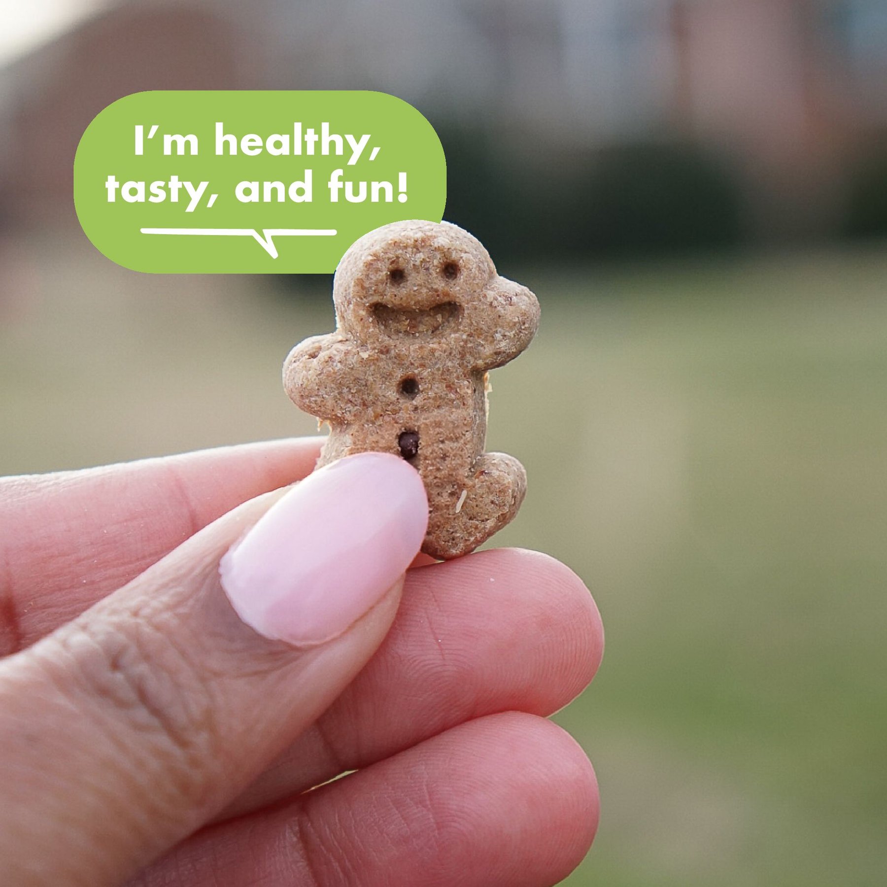 Buddy Biscuits Original Soft & Chewy with Roasted Chicken Dog Treats