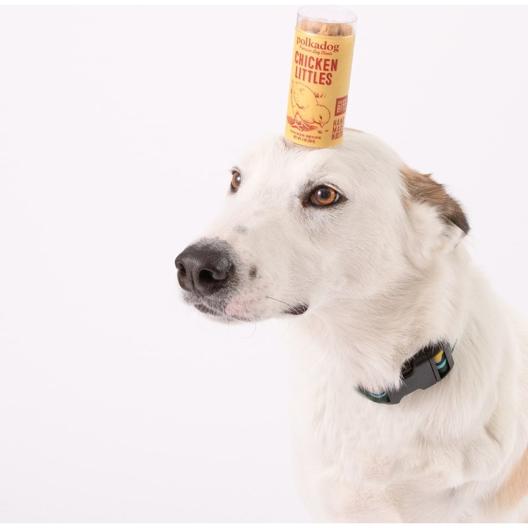 Polkadog Sfizis Chicken Little Recipe Dehydrated Dog Treats, 2-oz tube