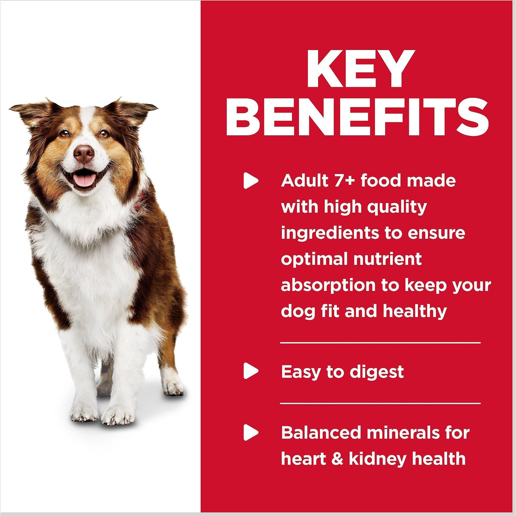 Hill's Science Diet Senior Adult 7+ Chicken & Barley Entree Canned Dog Food