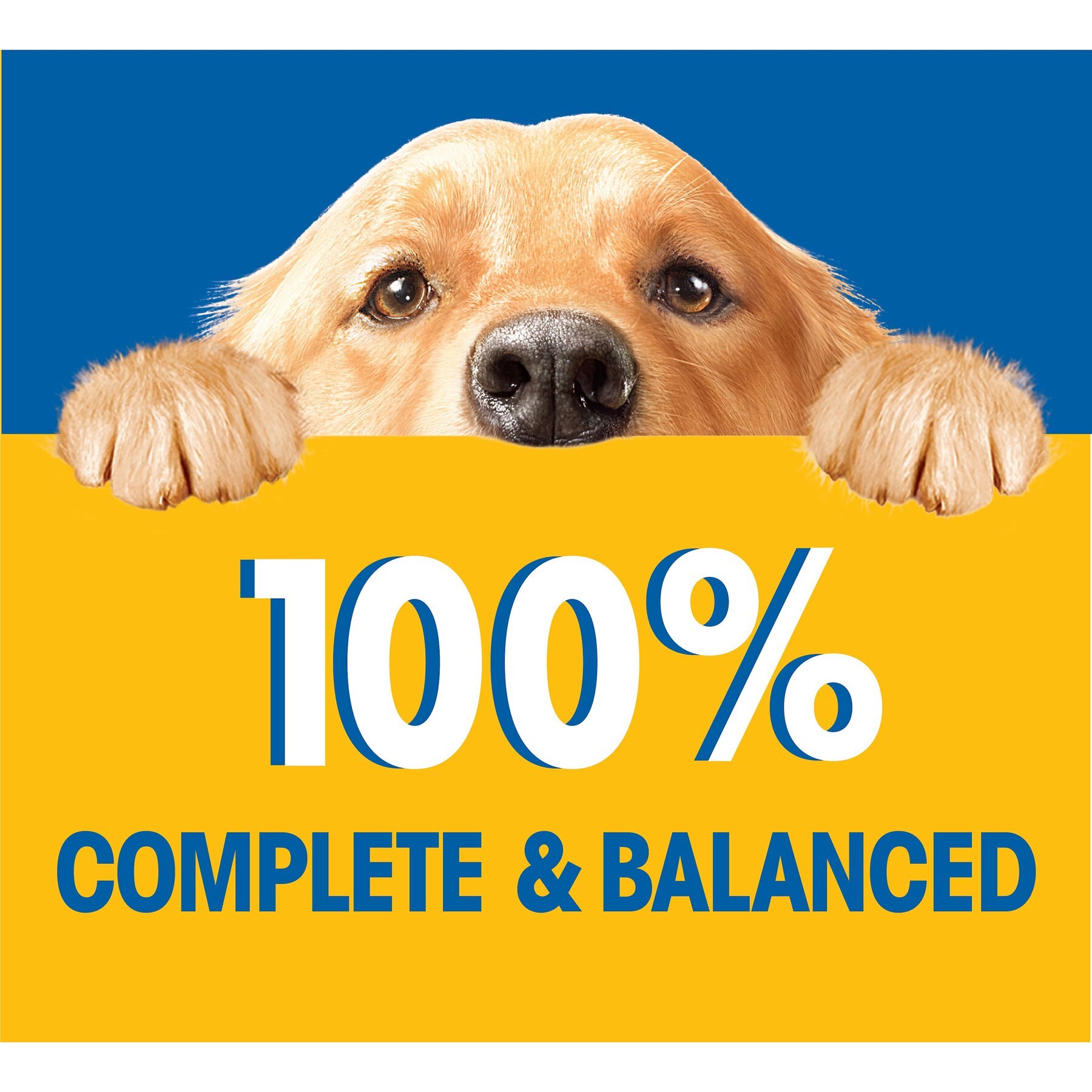 Pedigree Chopped Meaty Ground Dinner with Hearty Chicken Adult Wet Dog Food