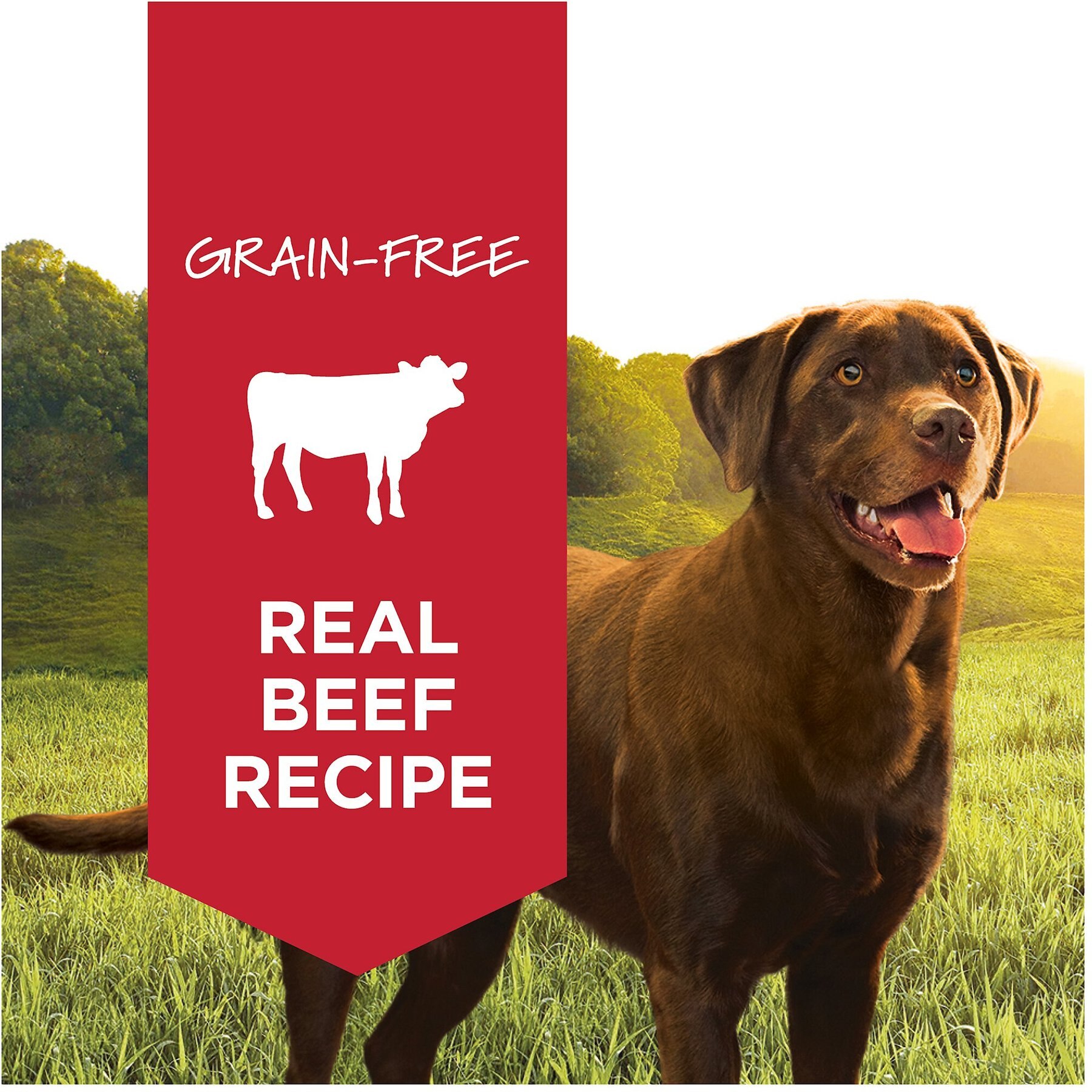 Instinct Original Adult Grain-Free Real Beef Recipe Wet Dog Food