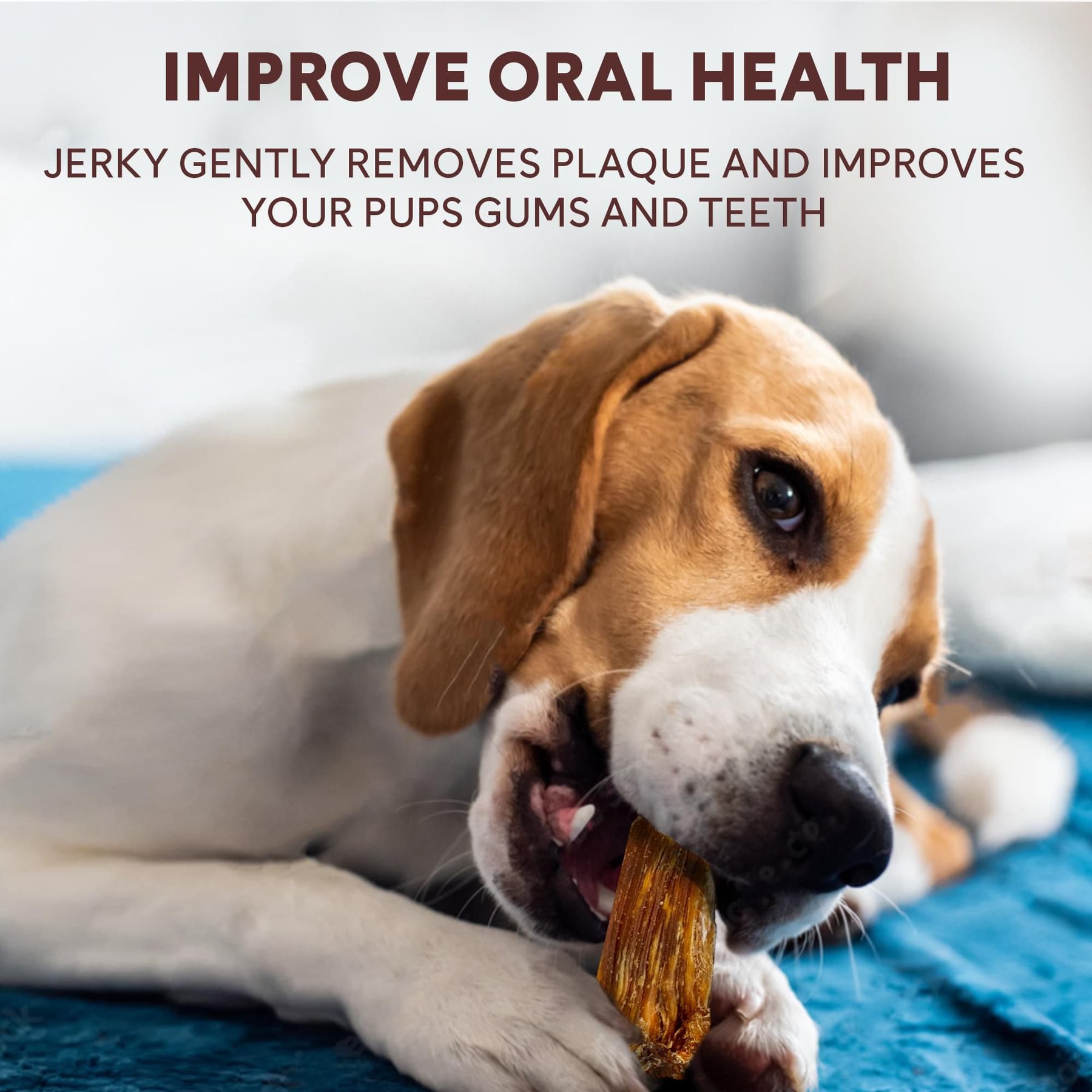 Pupford Crunchy Chicken High-Protein Jerky Dog Treats