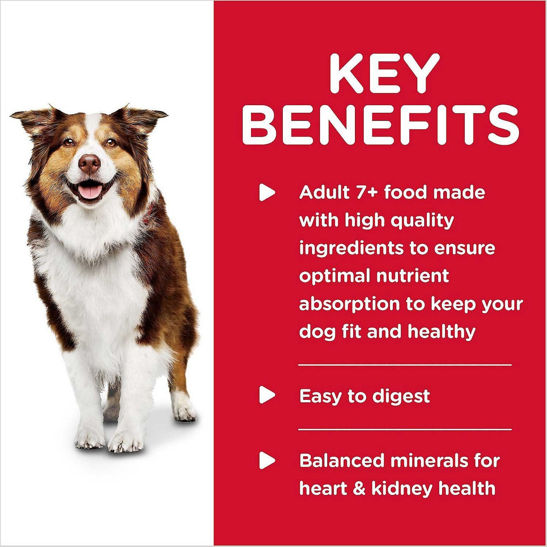 Hill's Science Diet Senior Adult 7+ Savory Stew with Chicken & Vegetables Canned Dog Food