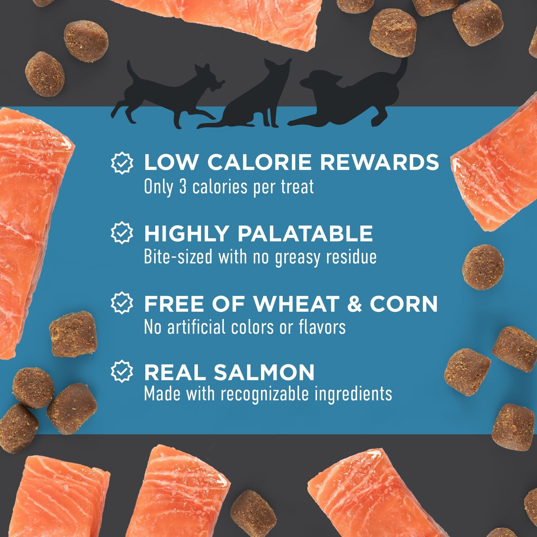 Cloud Star Chewy Tricky Trainers Salmon Flavor Dog Treats