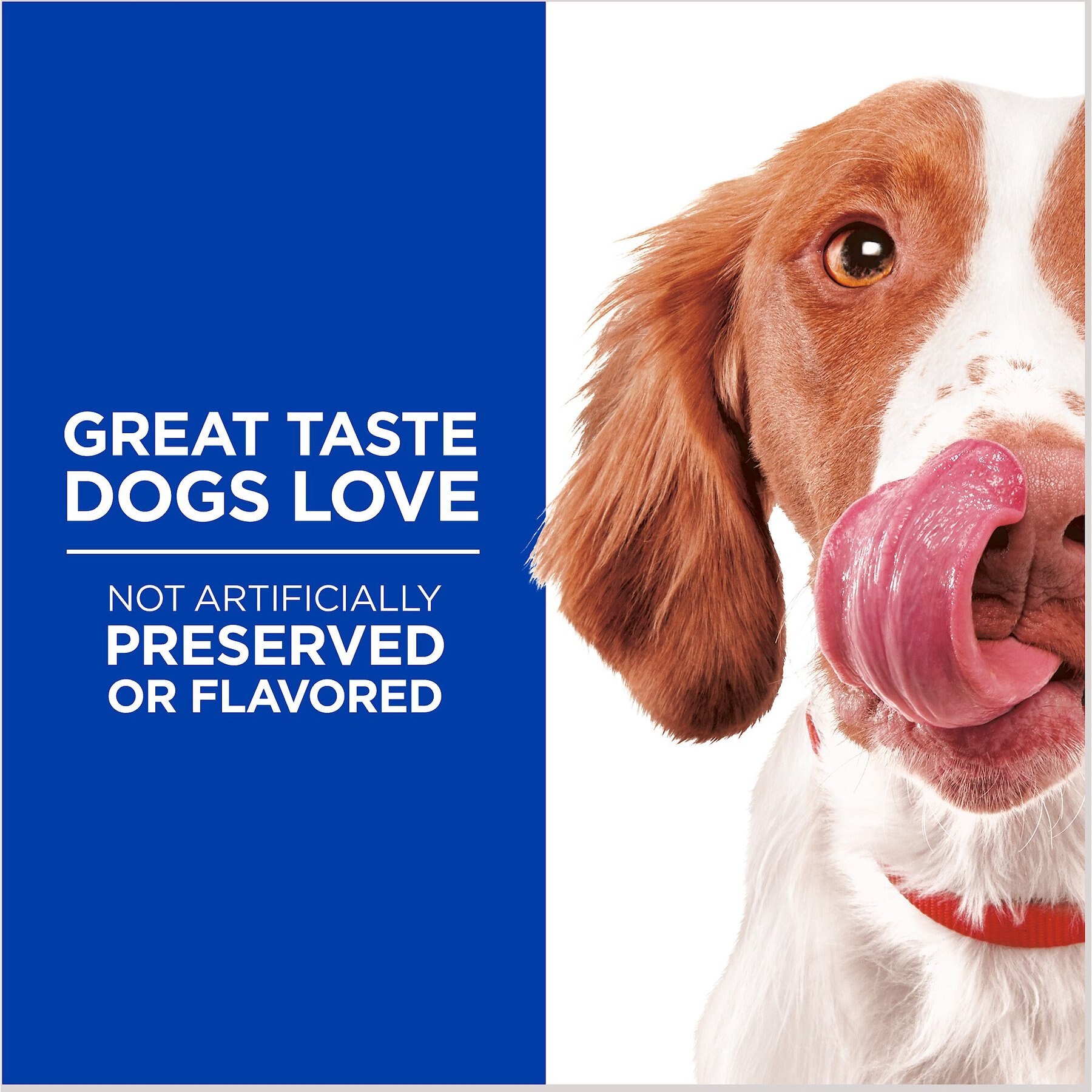 Hill's Natural Flexi-Stix Turkey Jerky Dog Treats