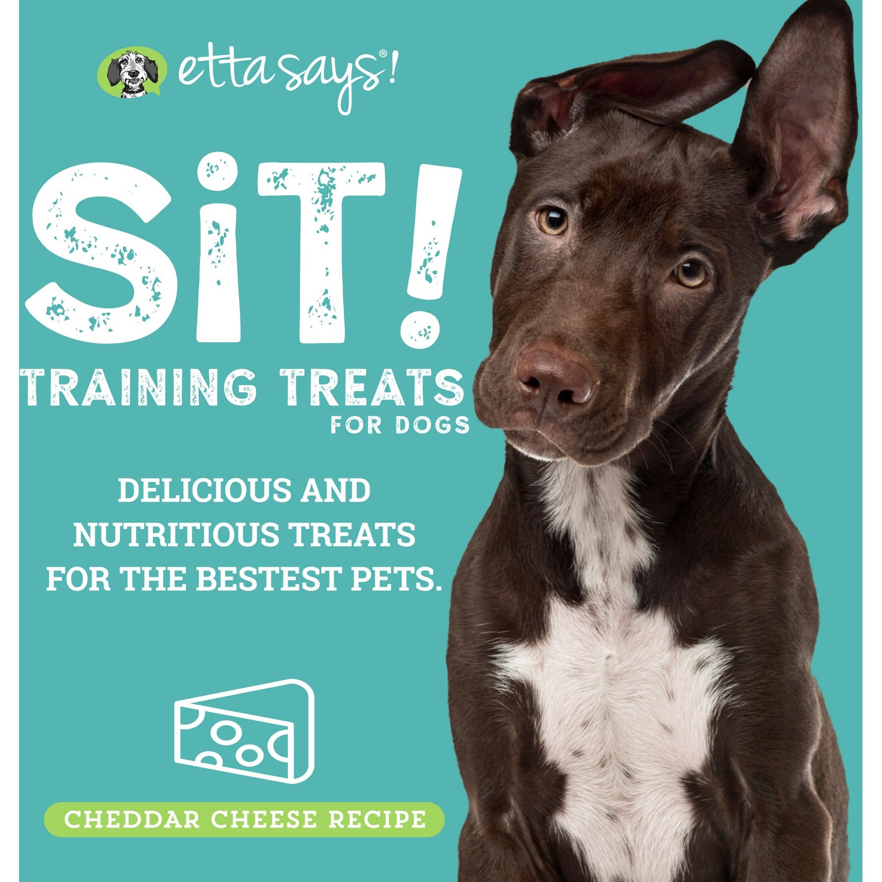 Etta Says! Sit! Cheese Recipe Soft & Chewy Dog Training Treats, 1-lb bag