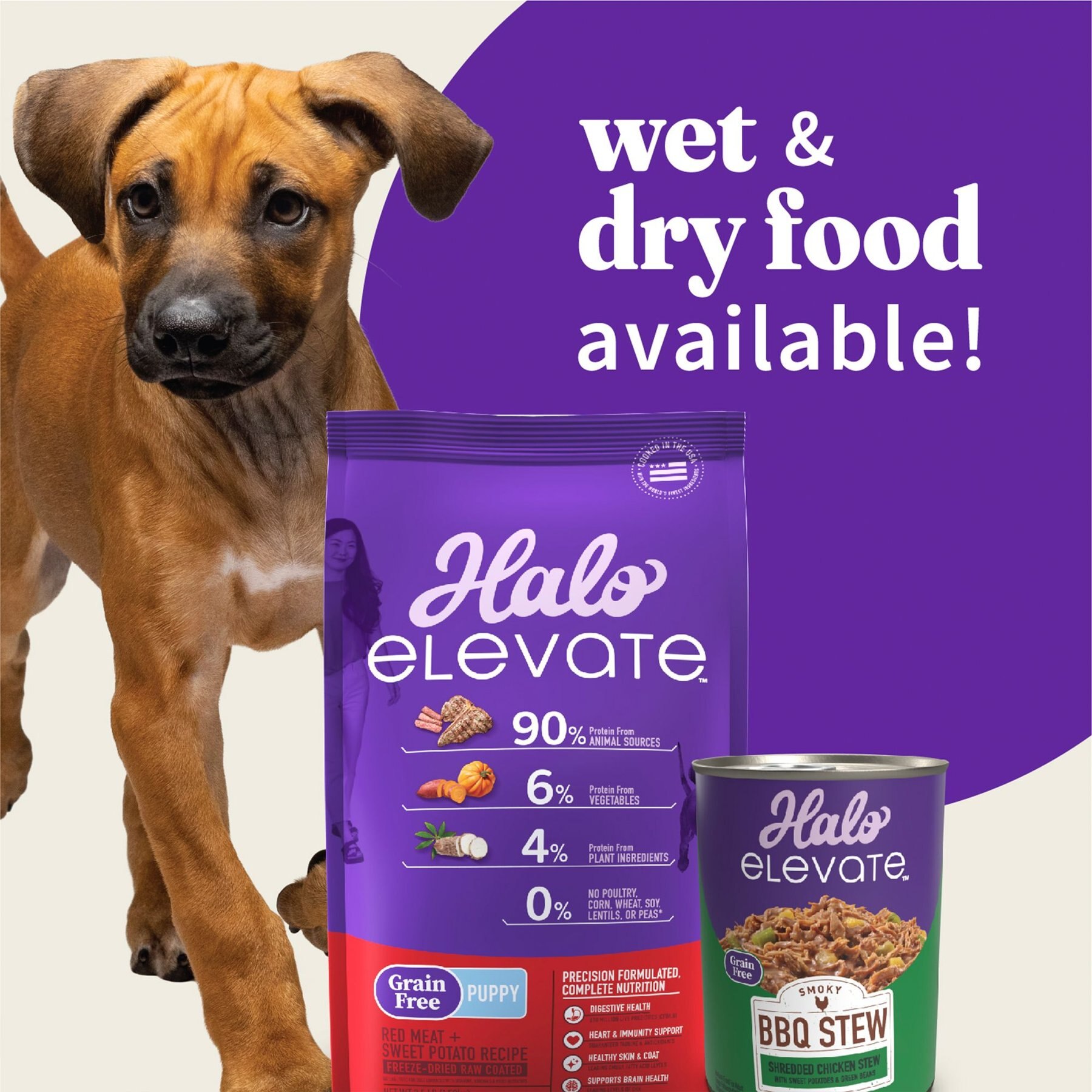 Halo Elevate Smoky BBQ Shredded Chicken Stew with Sweet Potatoes & Green Beans Grain-Free Wet Dog Food, 12.7-oz can, case of 6