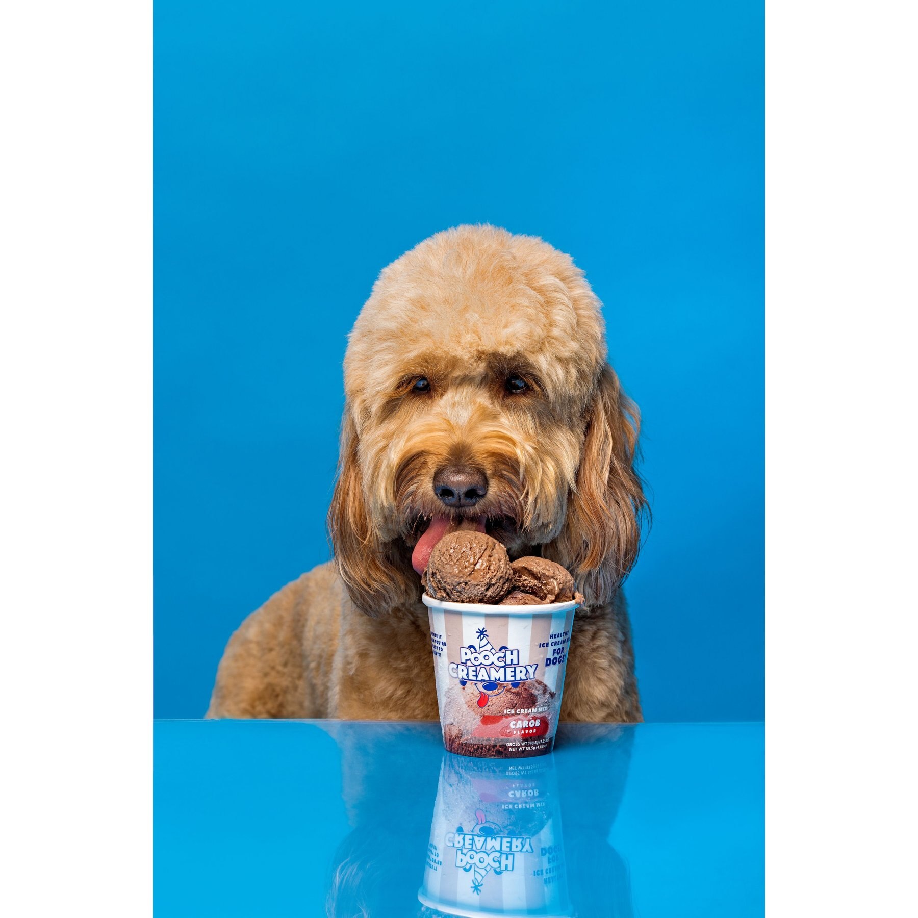 Pooch Creamery Carob Flavor Ice Cream Mix Dog Treat