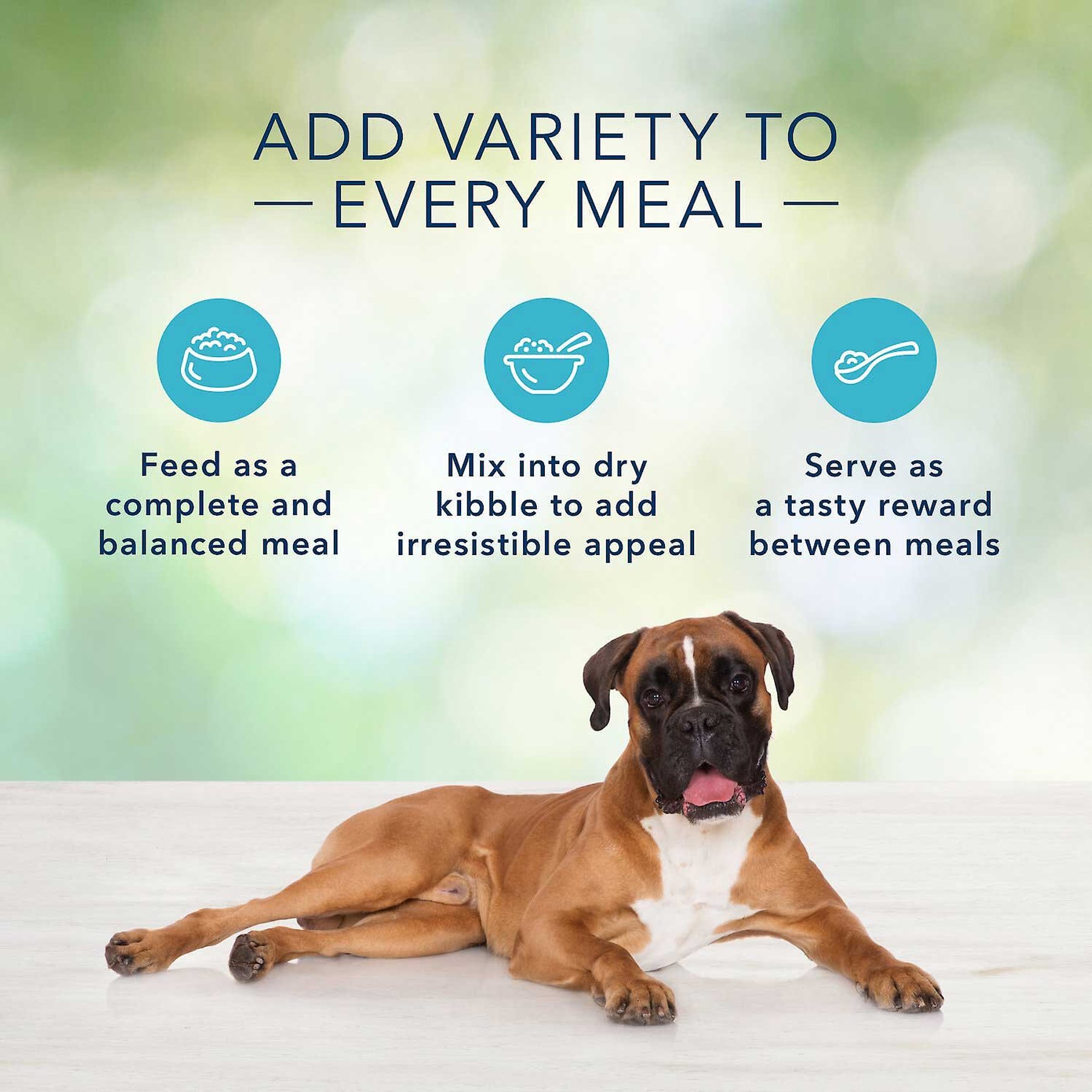 Blue Buffalo Freedom Adult Chicken Recipe Grain-Free Canned Dog Food