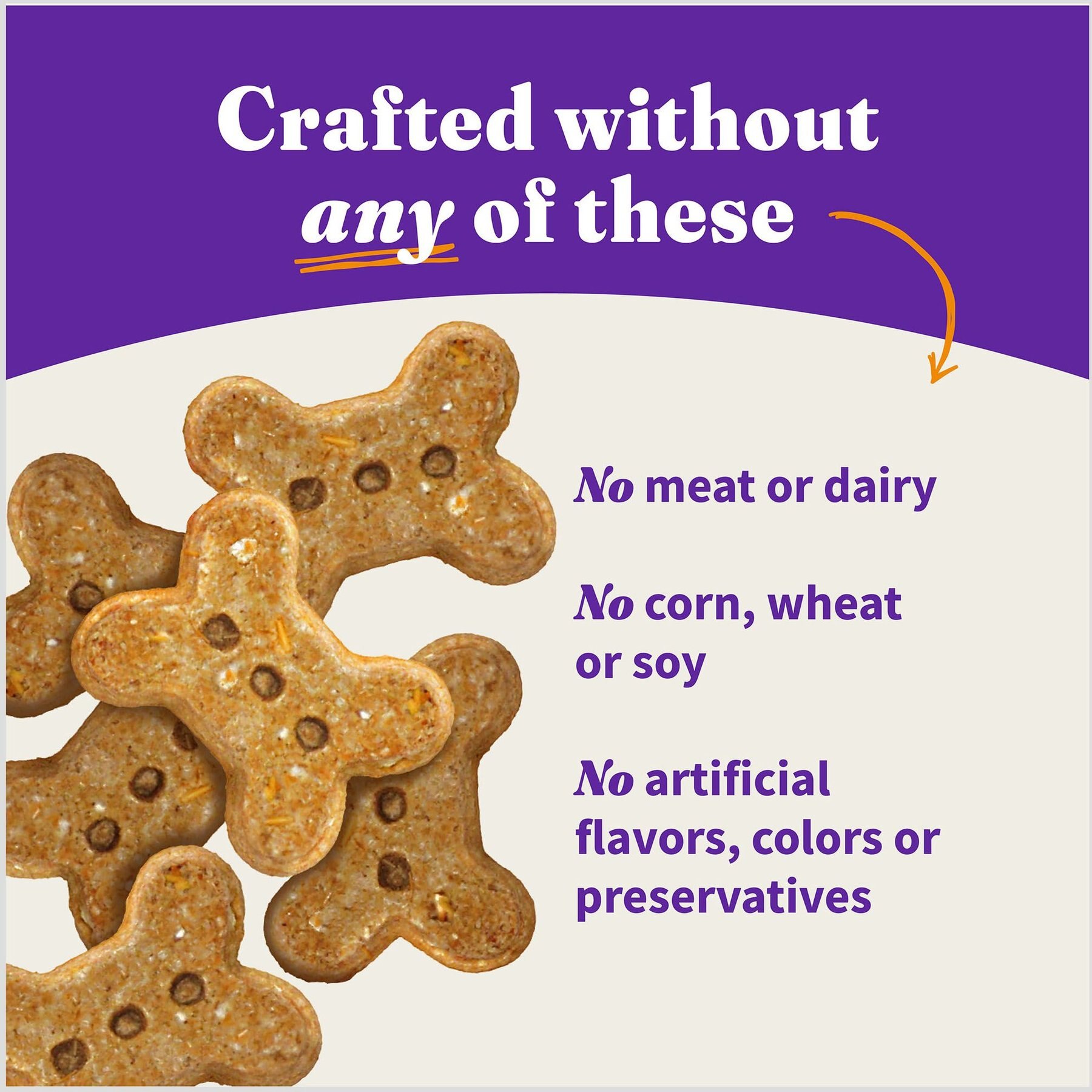 Halo Plant-Based Dog Treats with Peanuts & Pumpkin Vegan Dog Treat