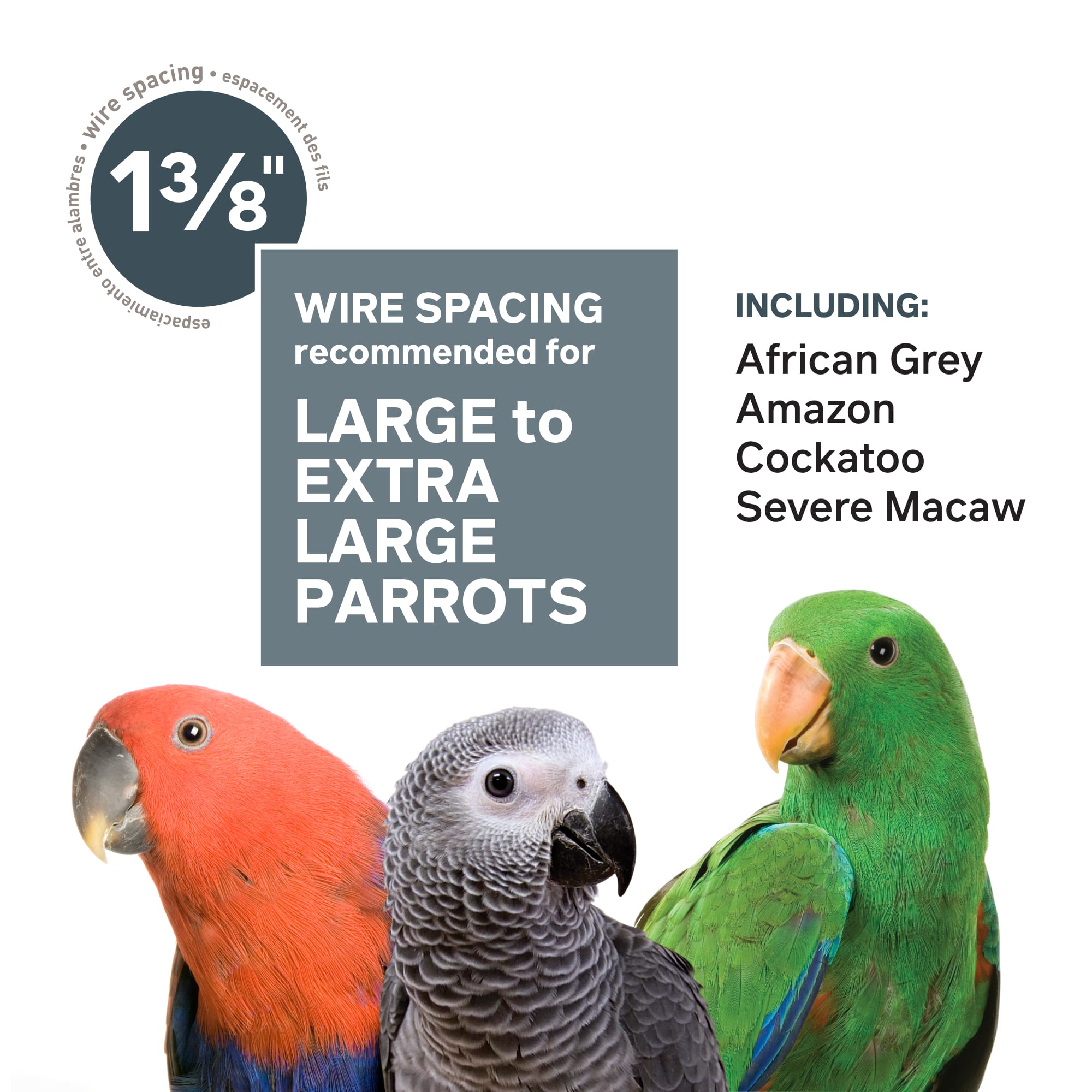Prevue Pet Products Signature Series Wrought Iron Silverado Macaw Dometop Bird Cage in Silver
