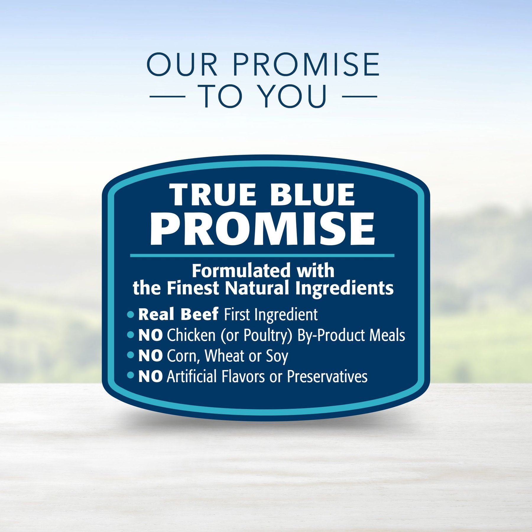 Blue Buffalo Blue’s Stew Hearty Beef Stew Grain-Free Canned Dog Food
